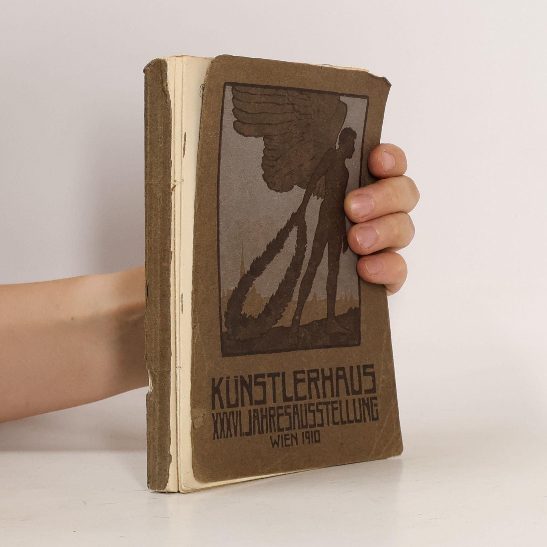 kolektiv Katalog der XXXVI. Jahresausstellung