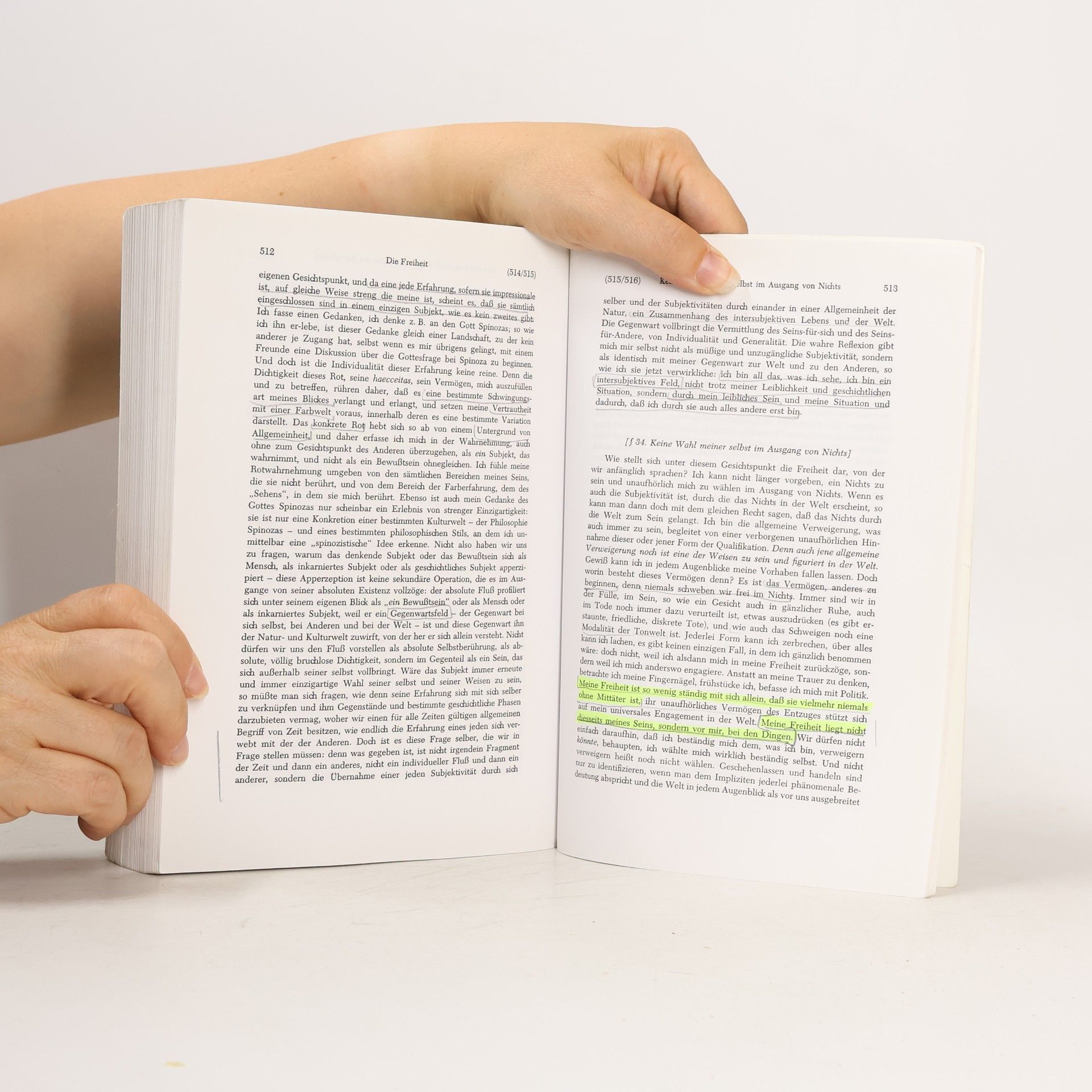 Maurice Merleau Ponty Phänomenologie der Wahrnehmung