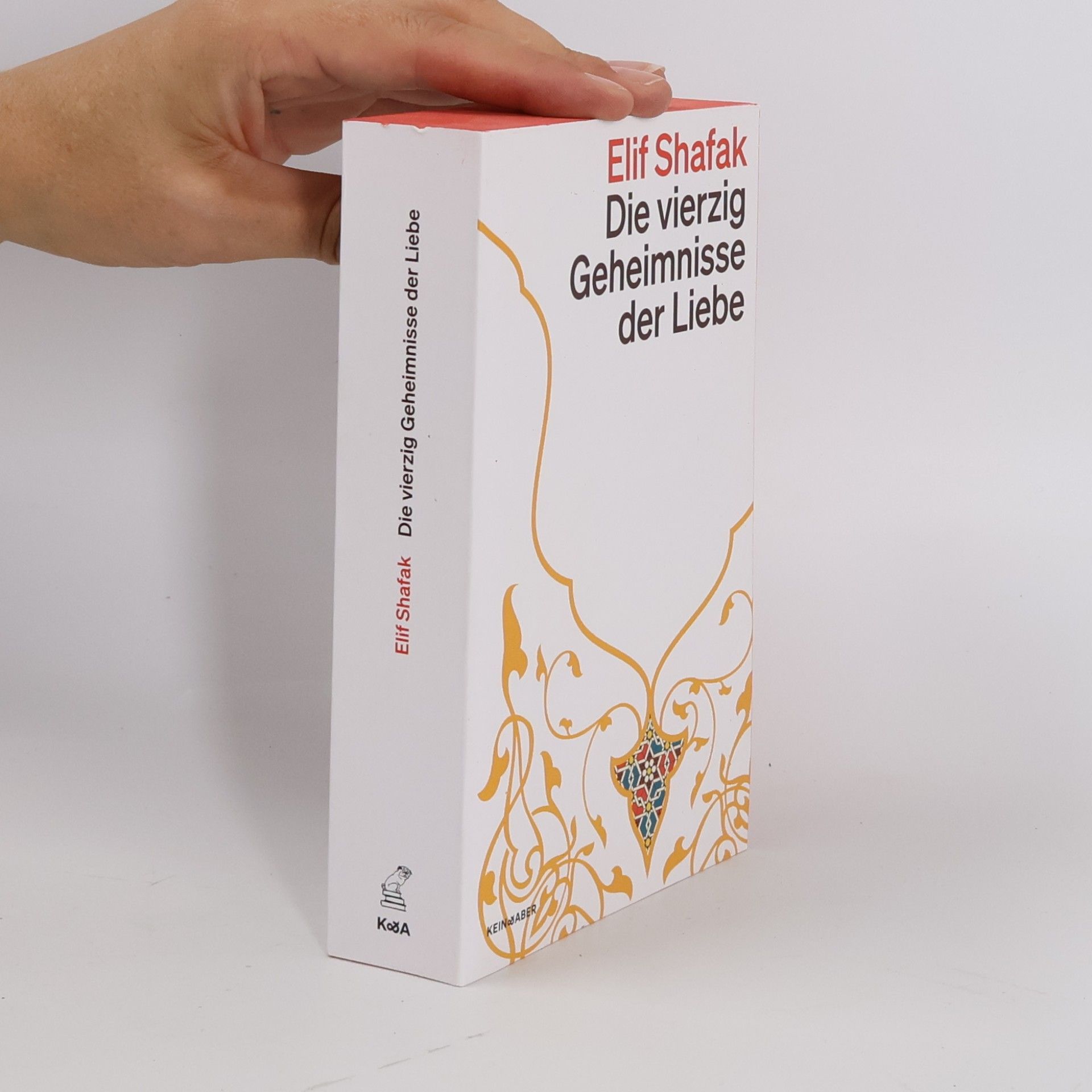 Elif Şafak Die vierzig Geheimnisse der Liebe