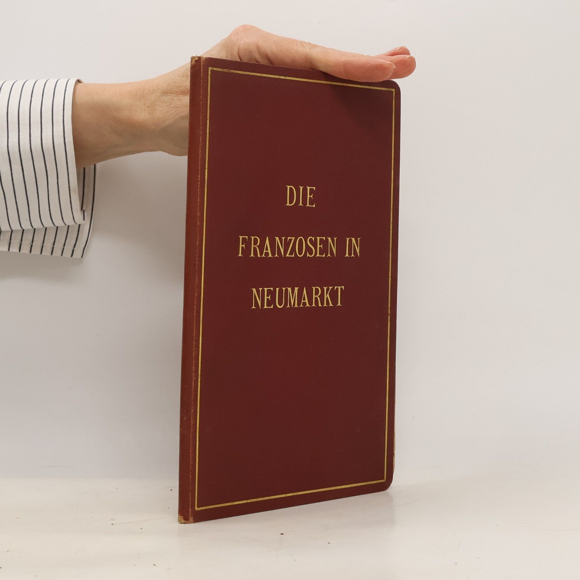 Die Franzosen in Neumarkt