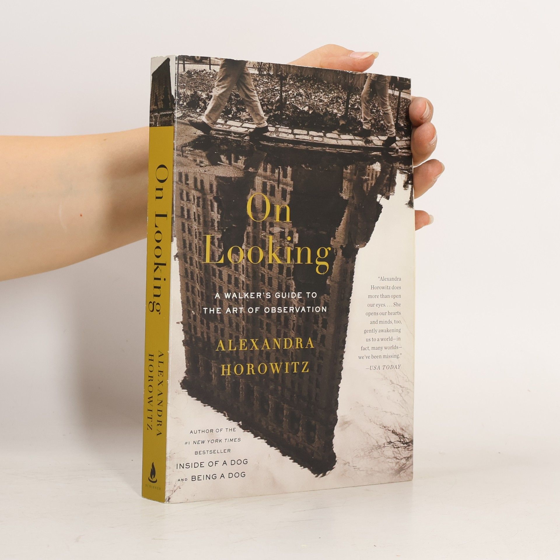 Alexandra Horowitz On Looking: A Walker's Guide to the Art of Observation