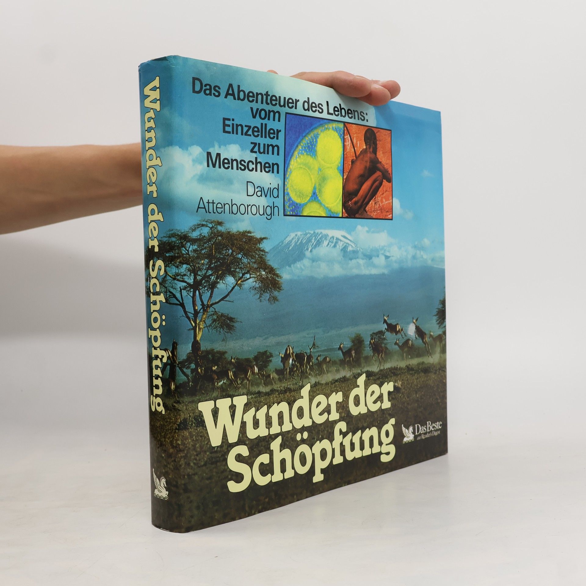 Wunder der Schöpfung