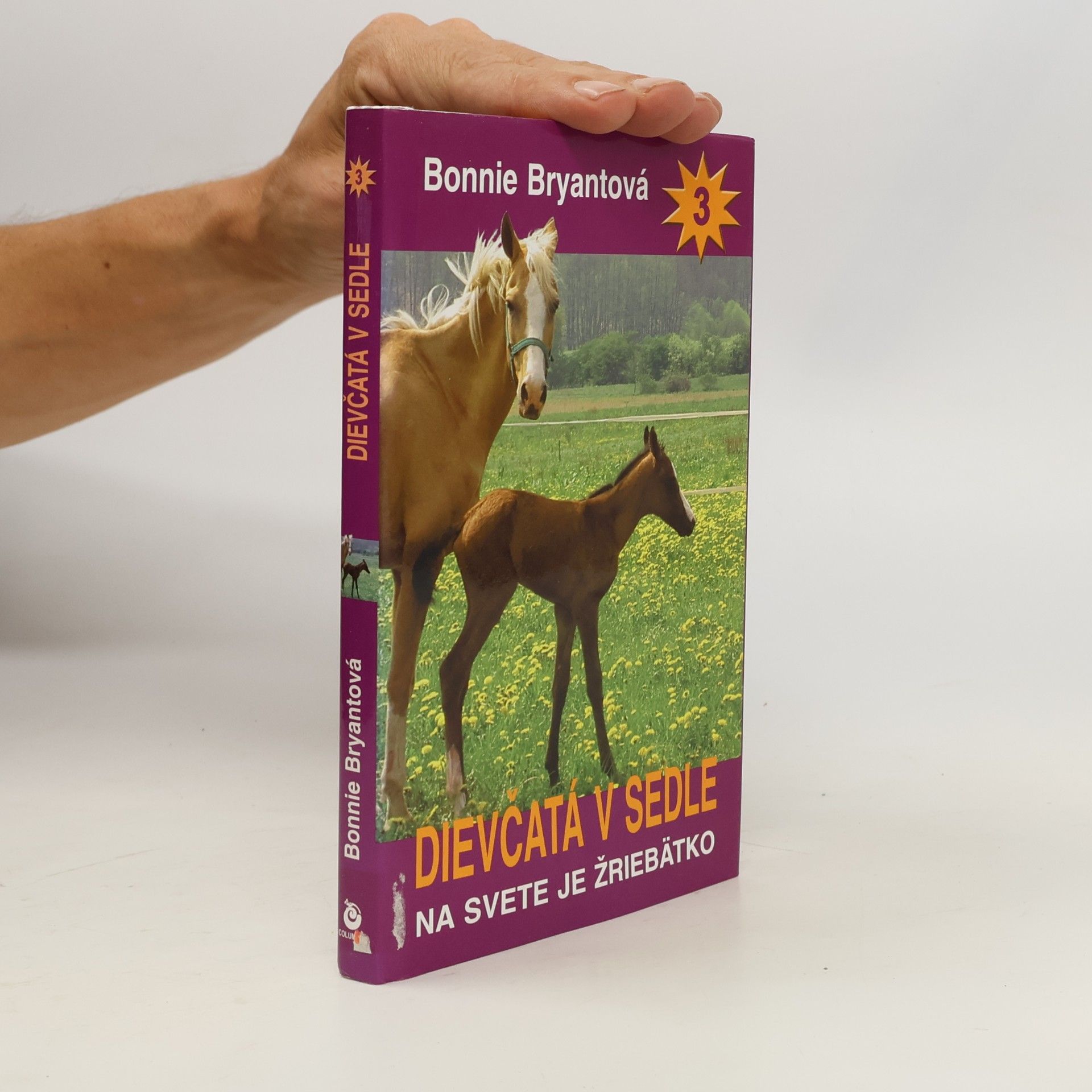 Bonnie Bryant Dievčatá v sedle 3