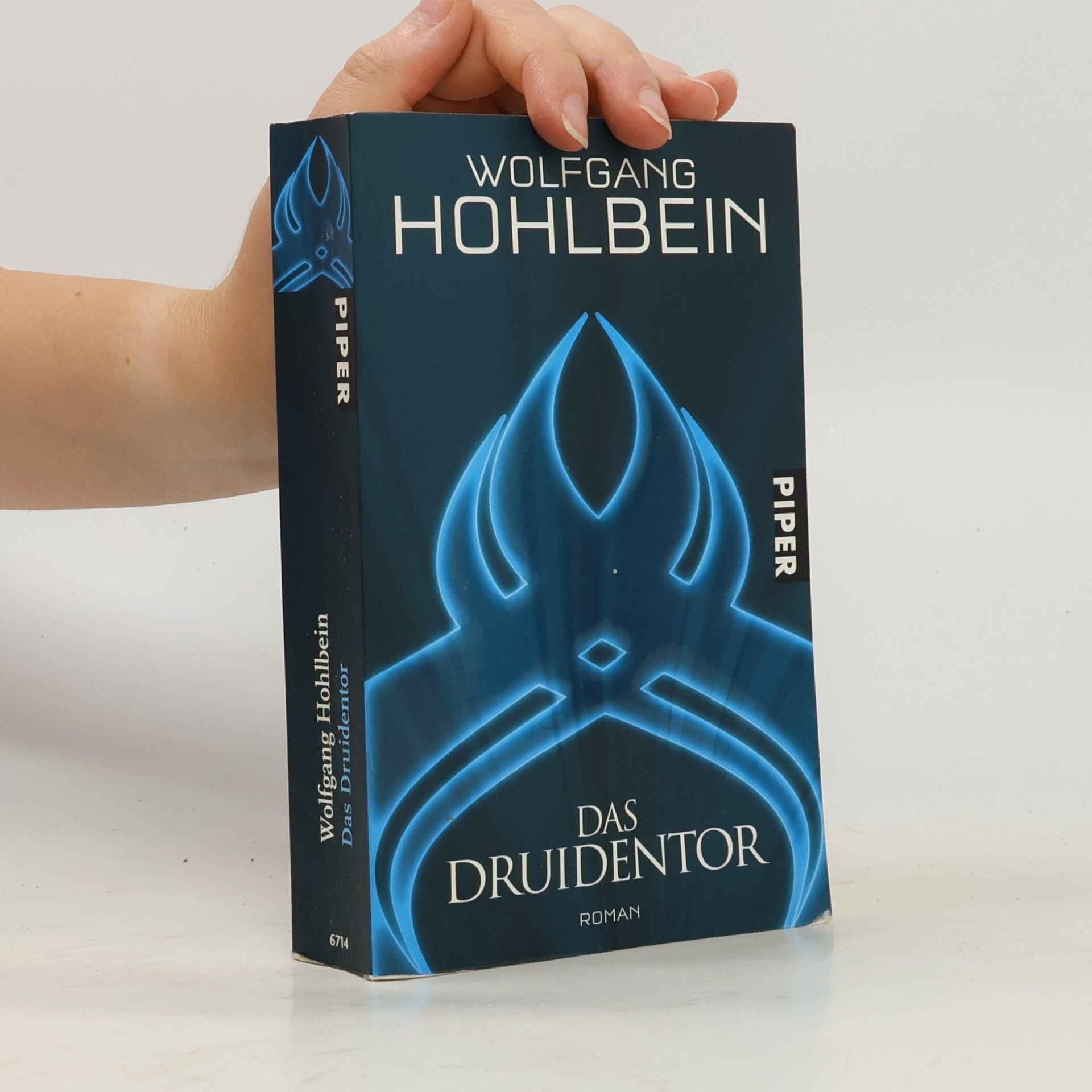 Wolfgang Hohlbein Das Druidentor