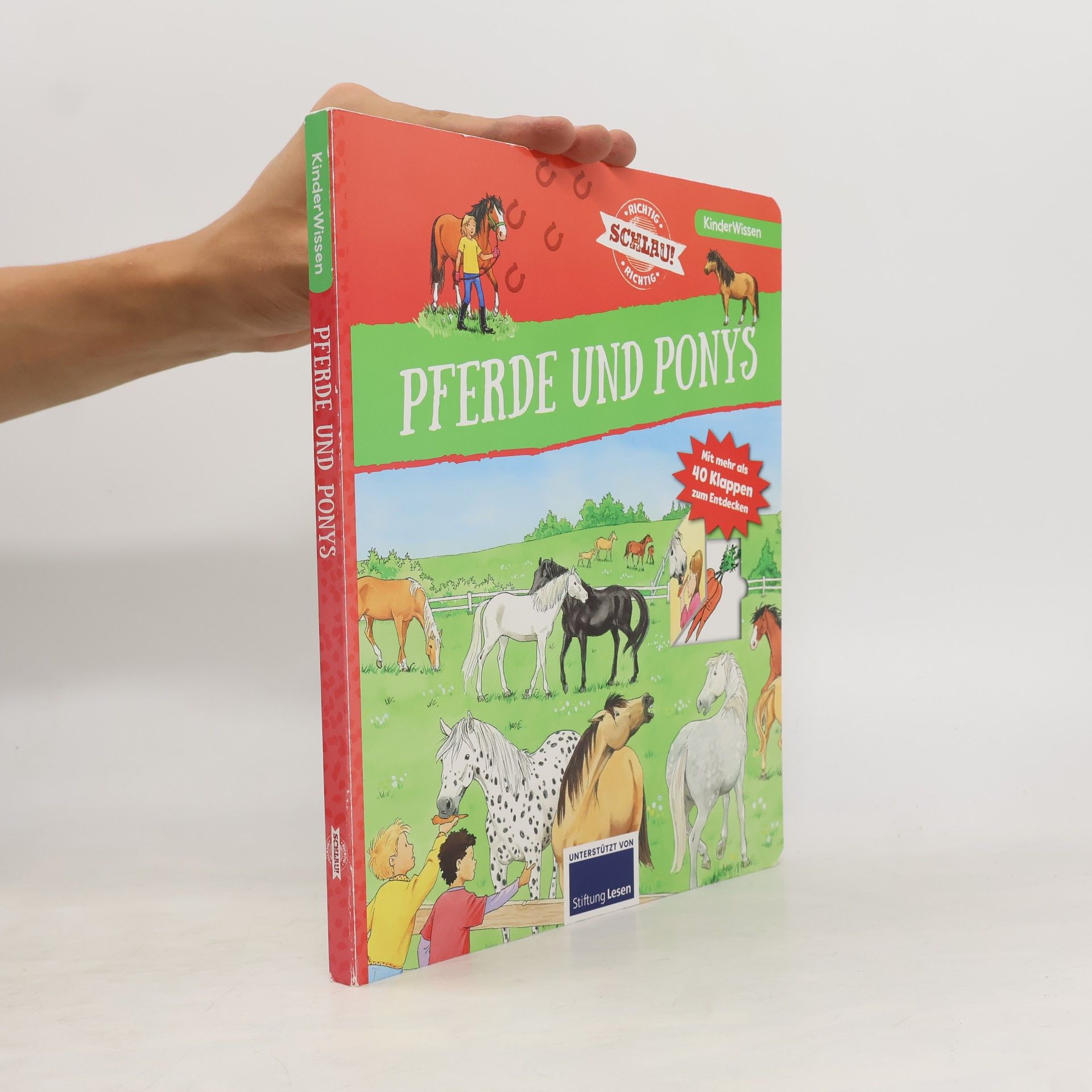 Pferde und Ponys