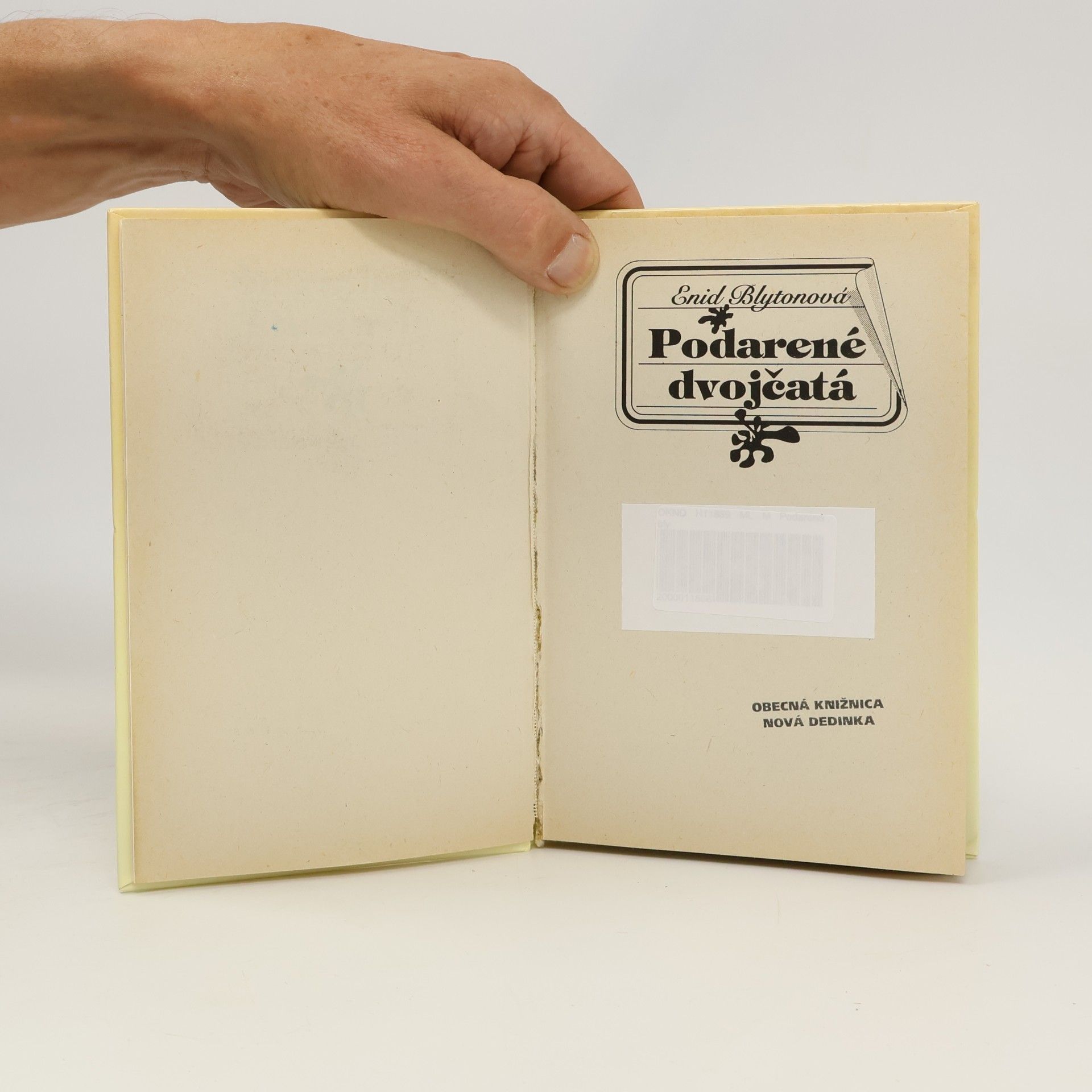 Enid Blyton Podarené dvojčatá
