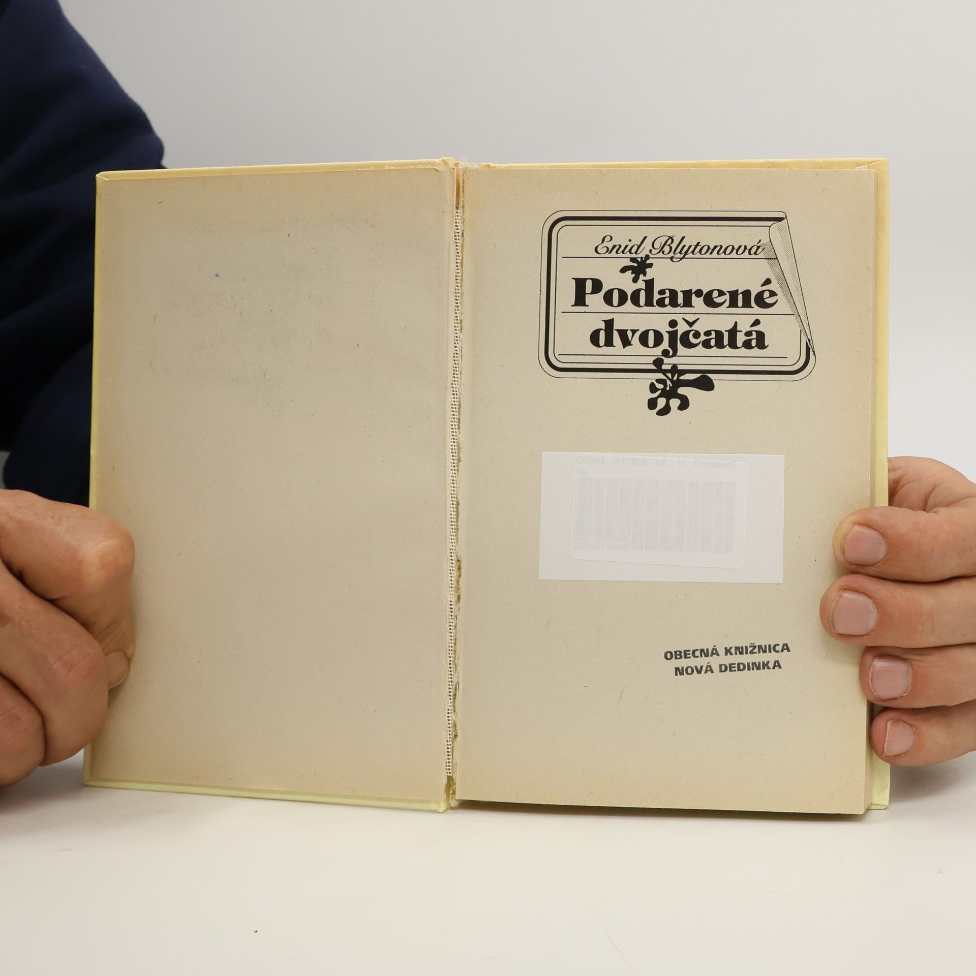 Enid Blyton Podarené dvojčatá
