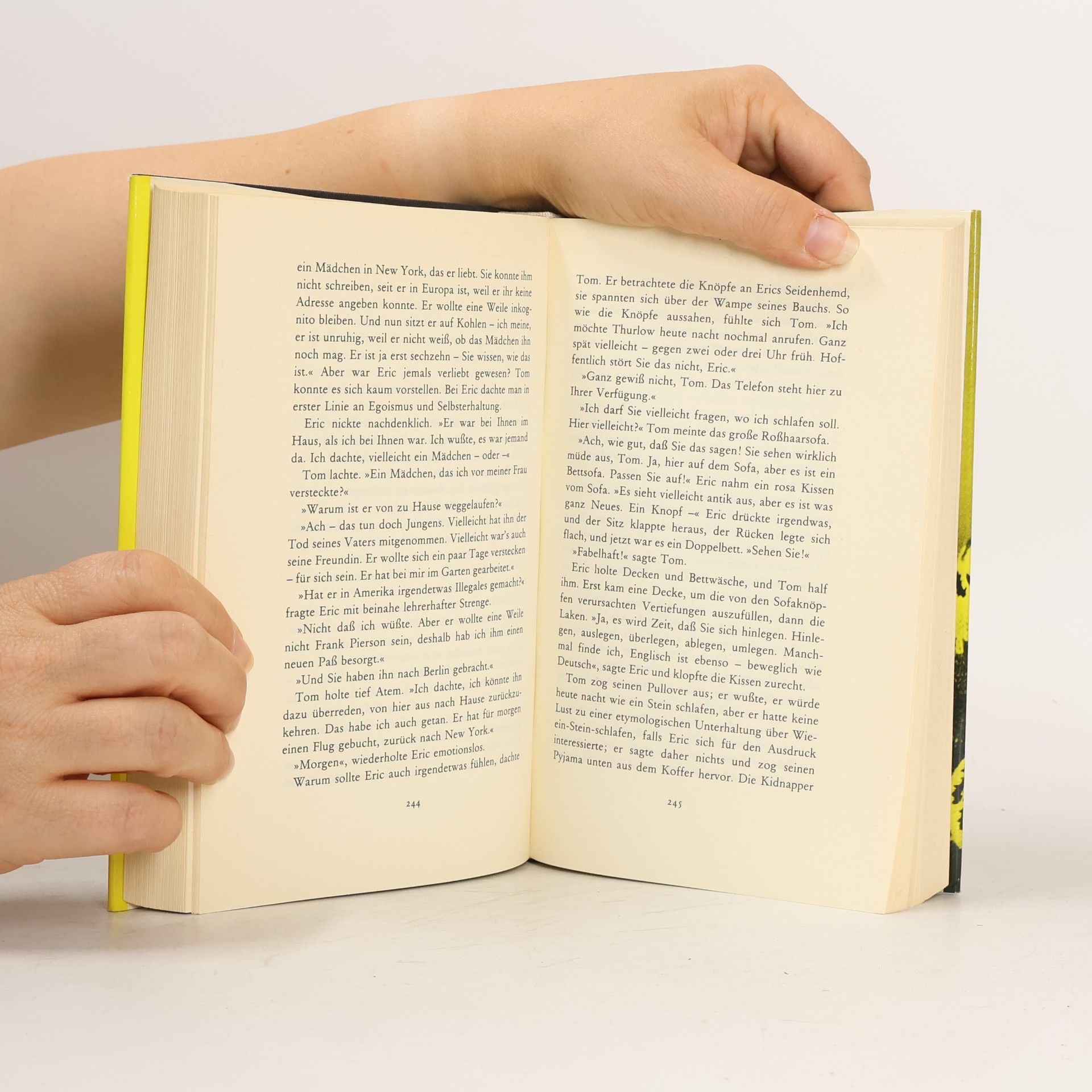 Patricia Highsmith Der Junge, der Ripley folgte