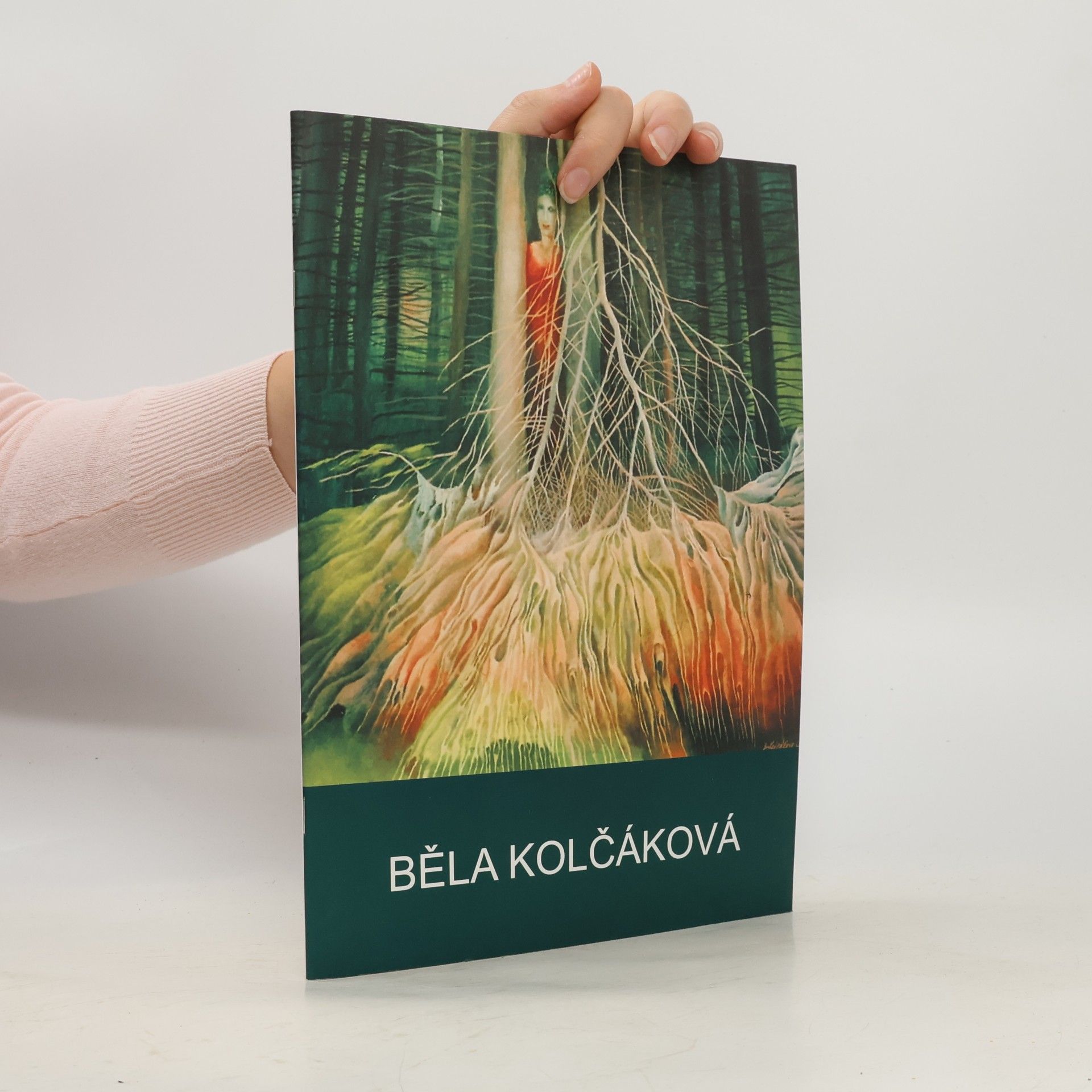 Autorenkollektiv Běla Kolčáková