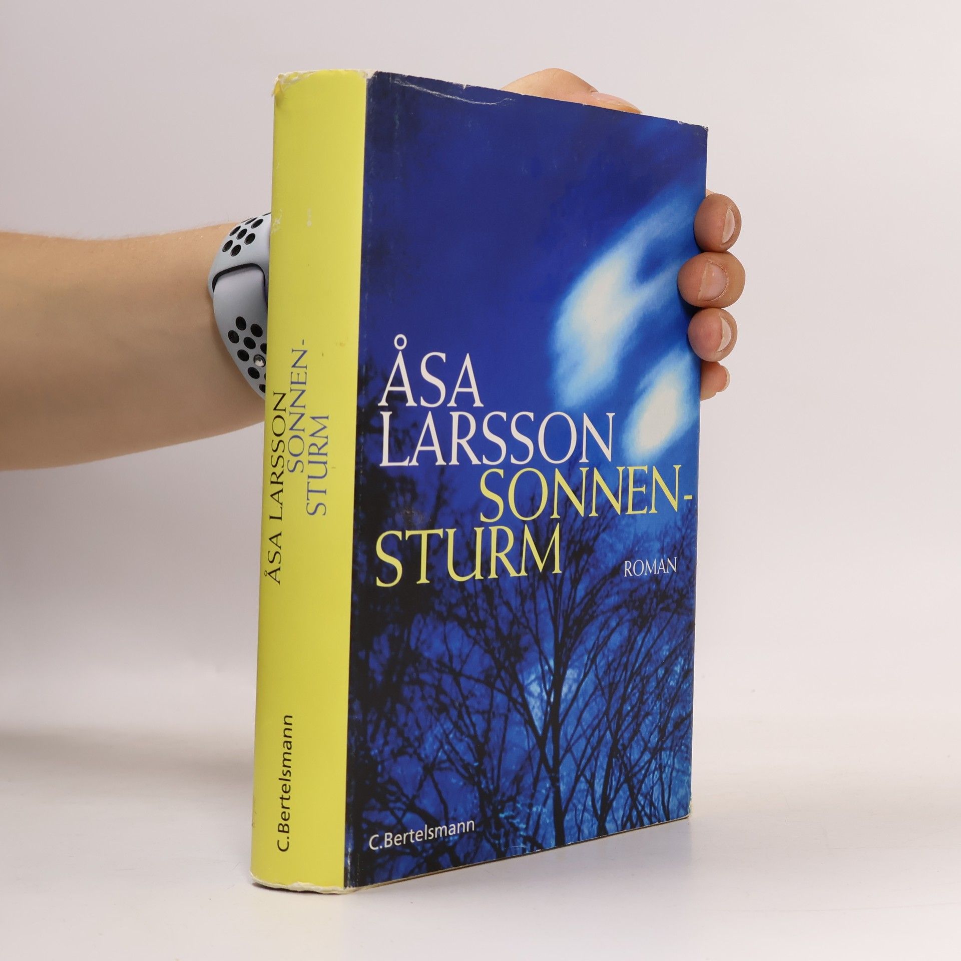 Åsa Larsson Sonnensturm