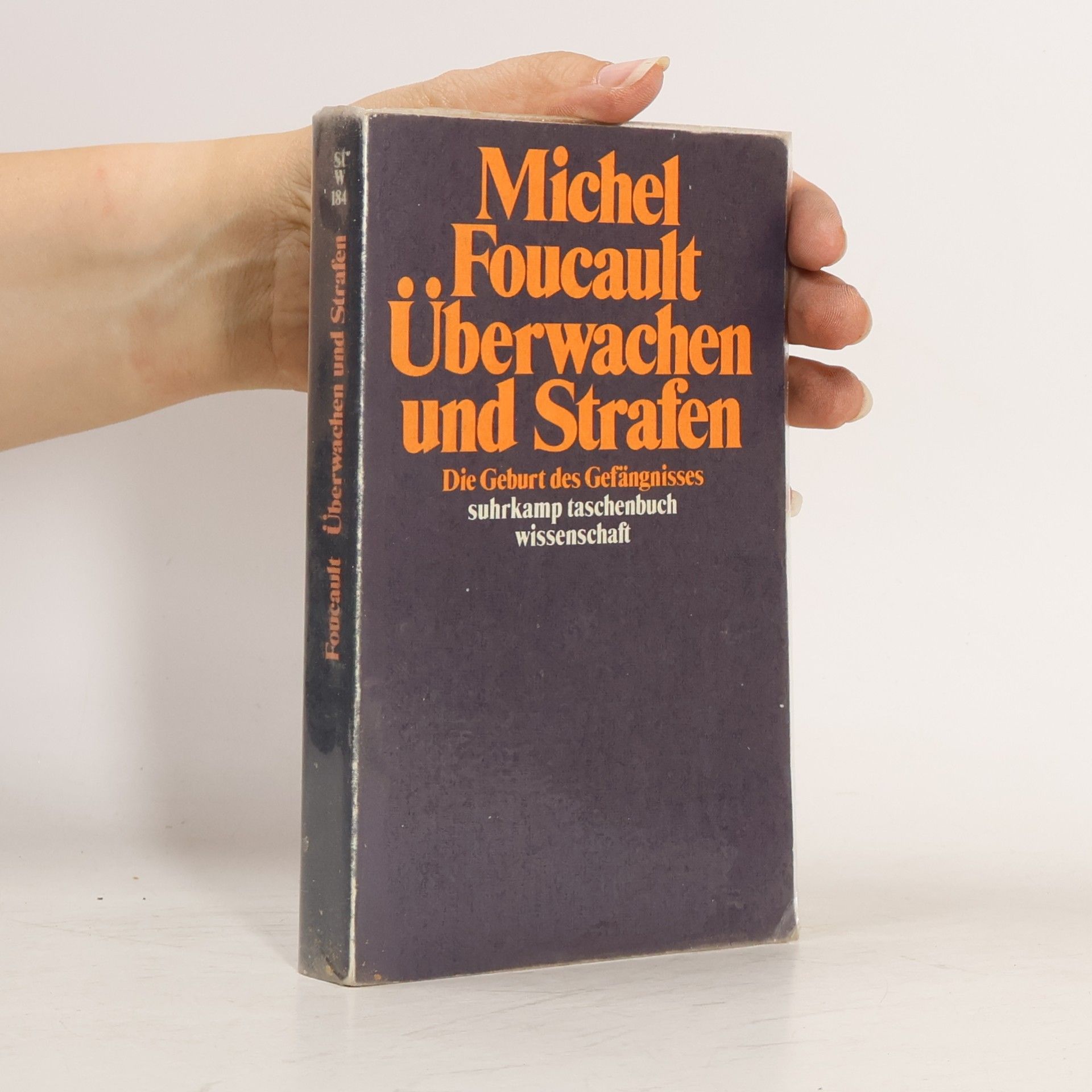 Michel Foucault Überwachen und Strafen