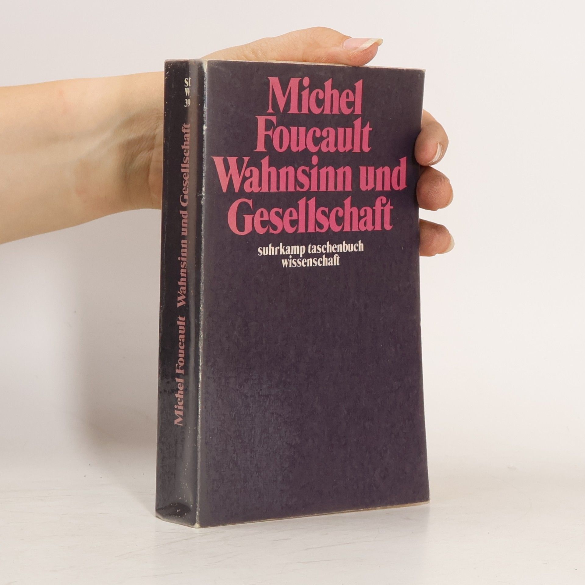 Michel Foucault Wahnsinn und Gesellschaft