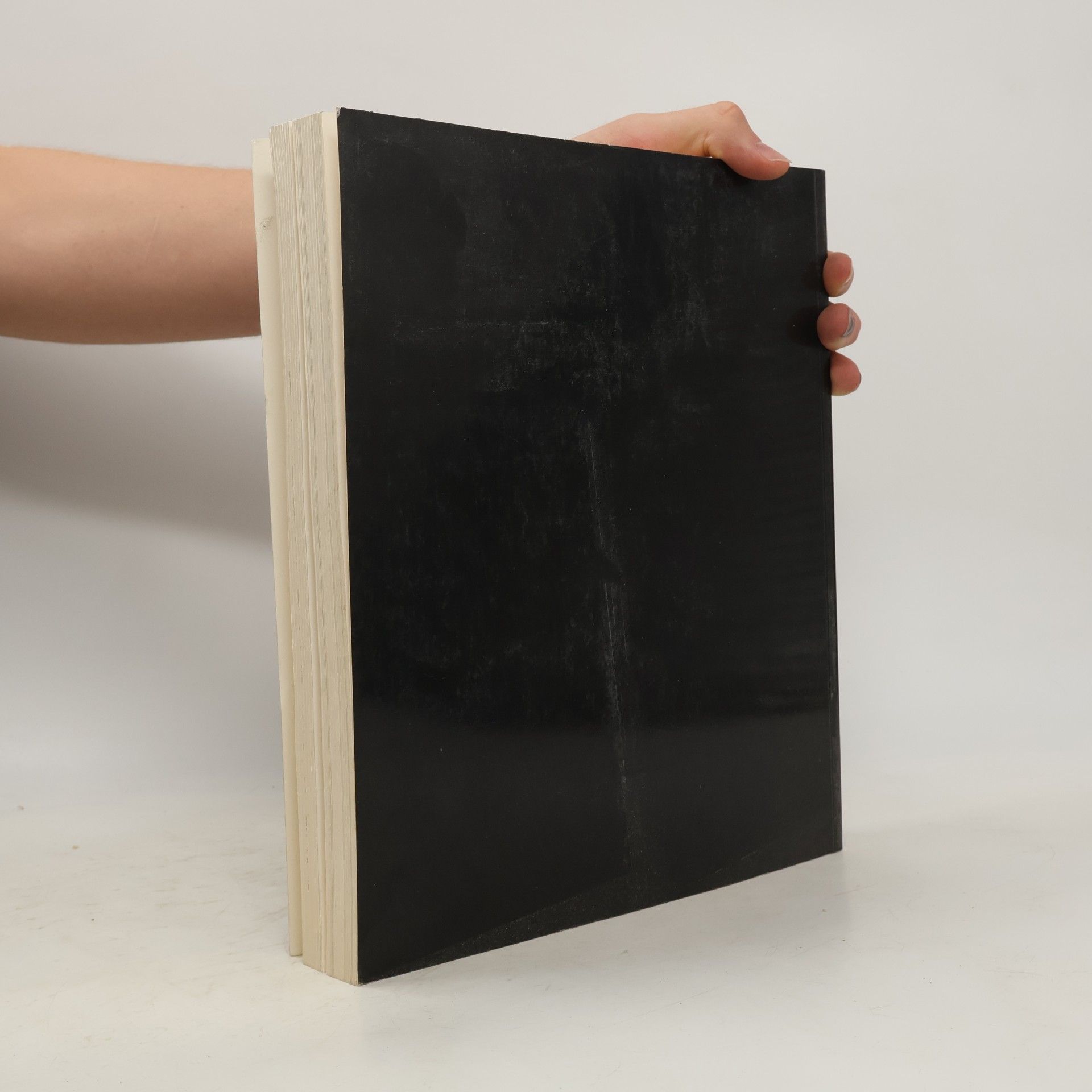 Christopher Brown Rembrandt