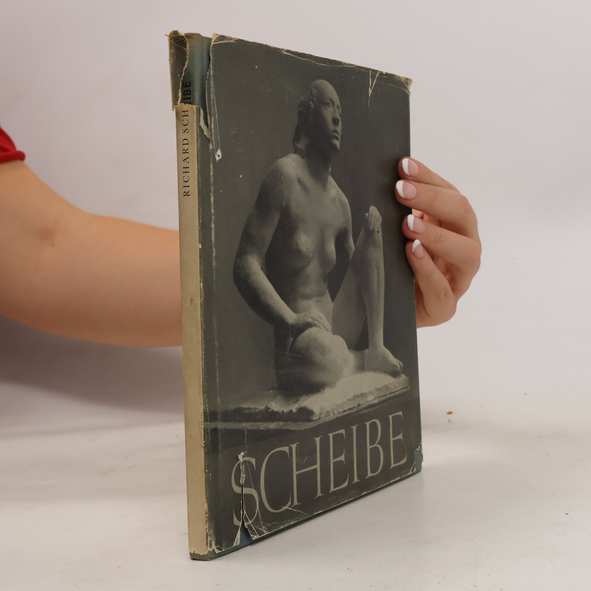 Scheibe