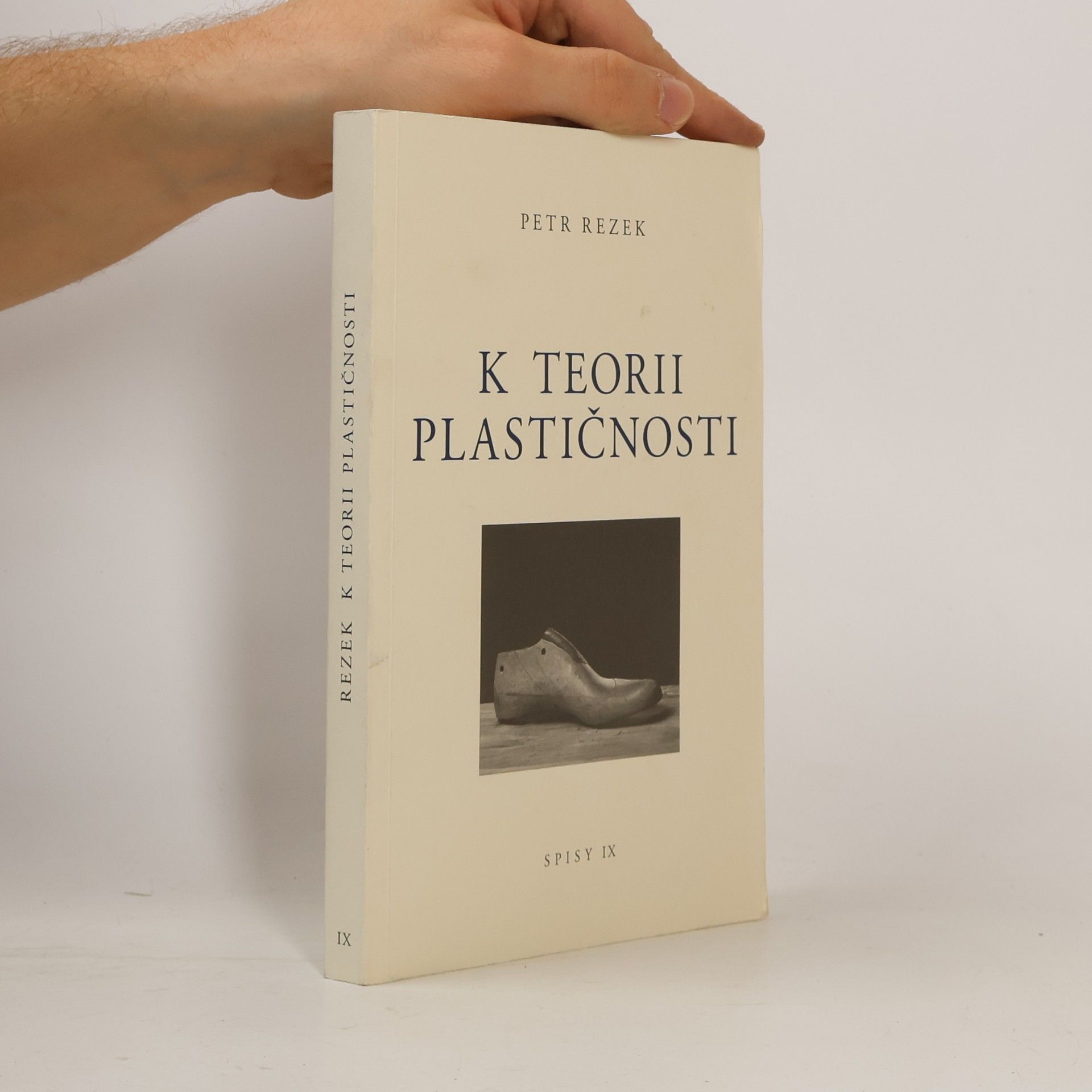 Petr Rezek K teorii plastičnosti