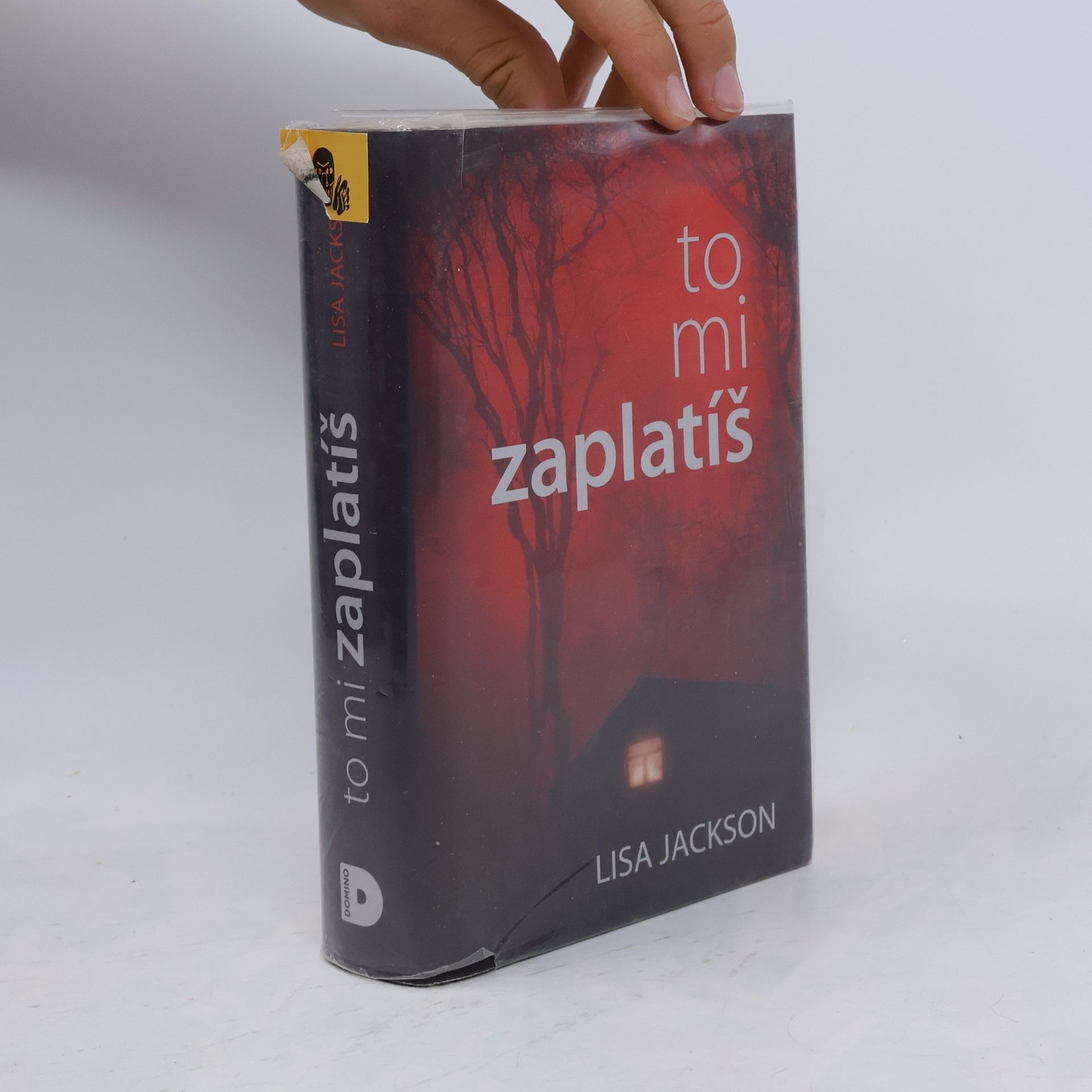 Lisa Jackson To mi zaplatíš