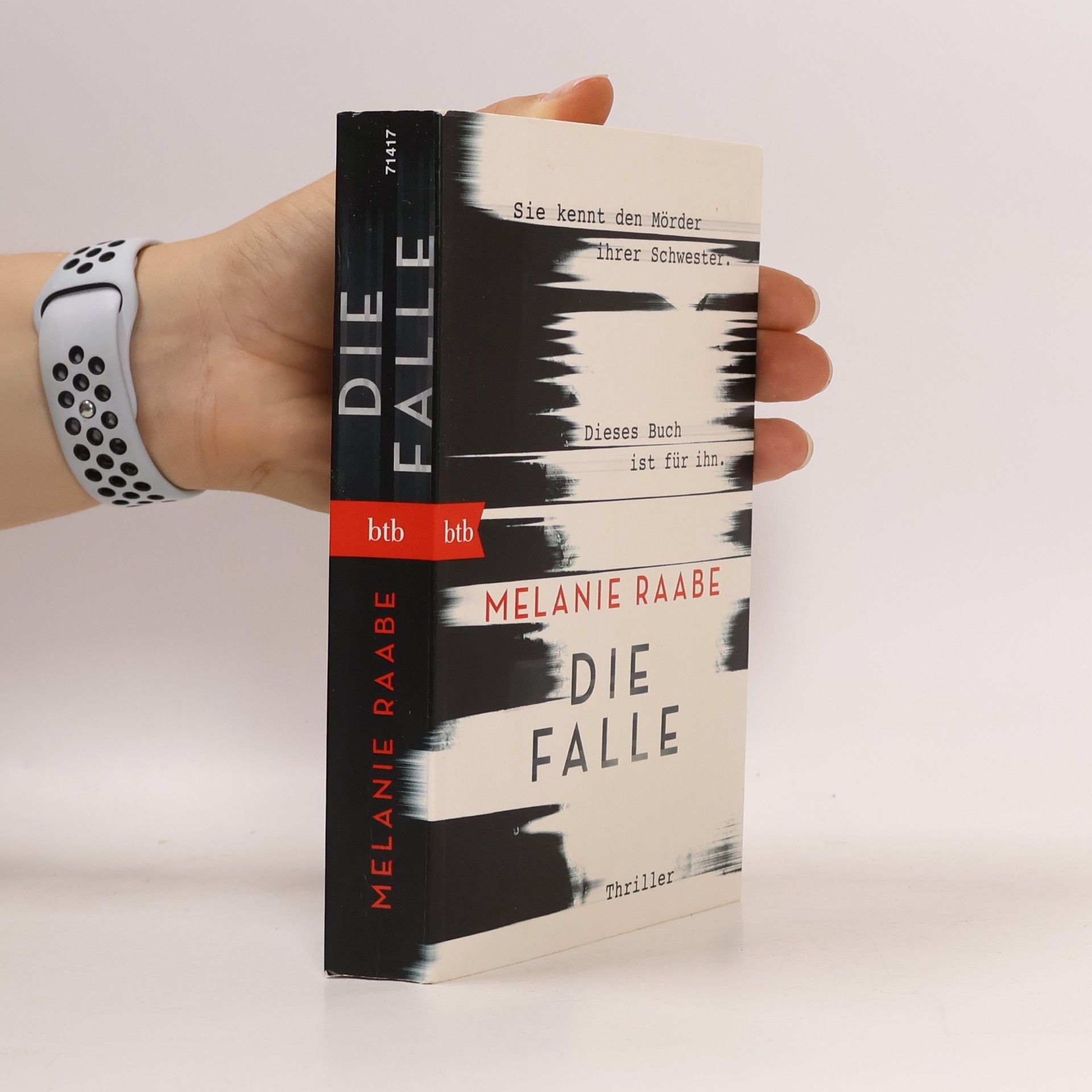 Melanie Raabe Die Falle