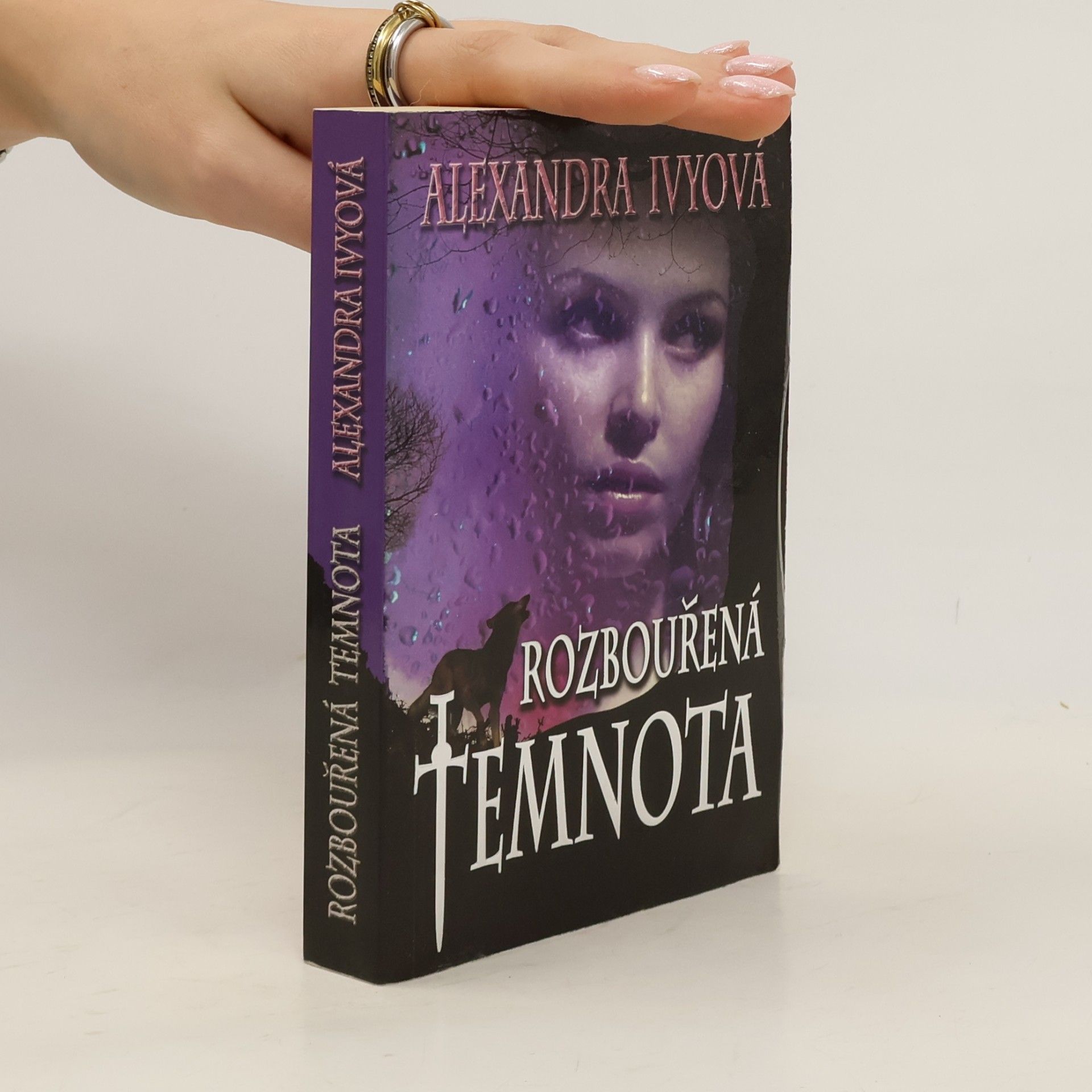 Debbie Raleigh Rozbouřená temnota
