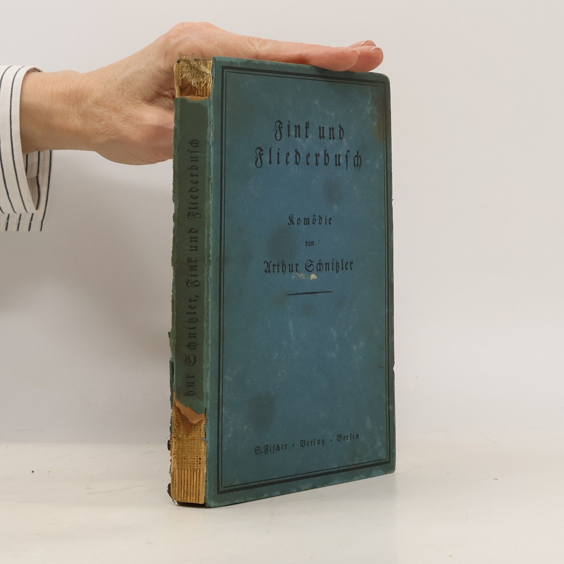 Arthur Schnitzler Fink und Fliederbusch