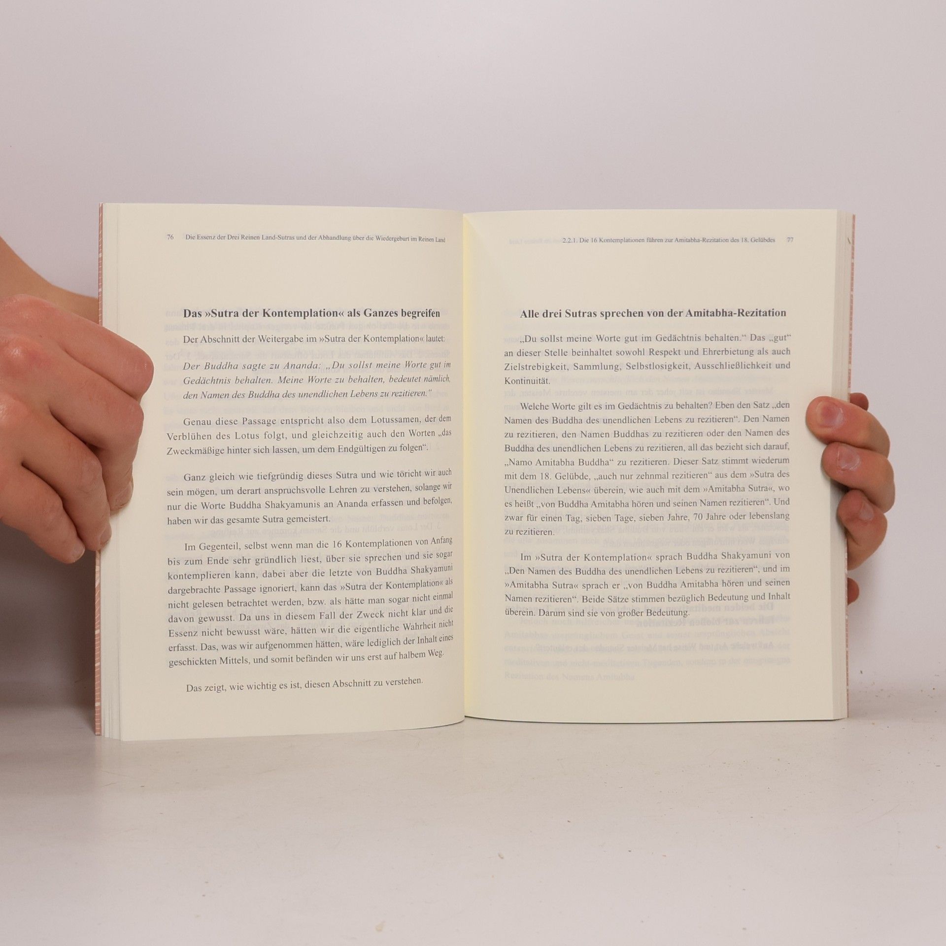 F. Huijing Die Essenz der Drei Reinen Land-Sutras und der Abhandlung über die Wiedergeburt im Reinen Land