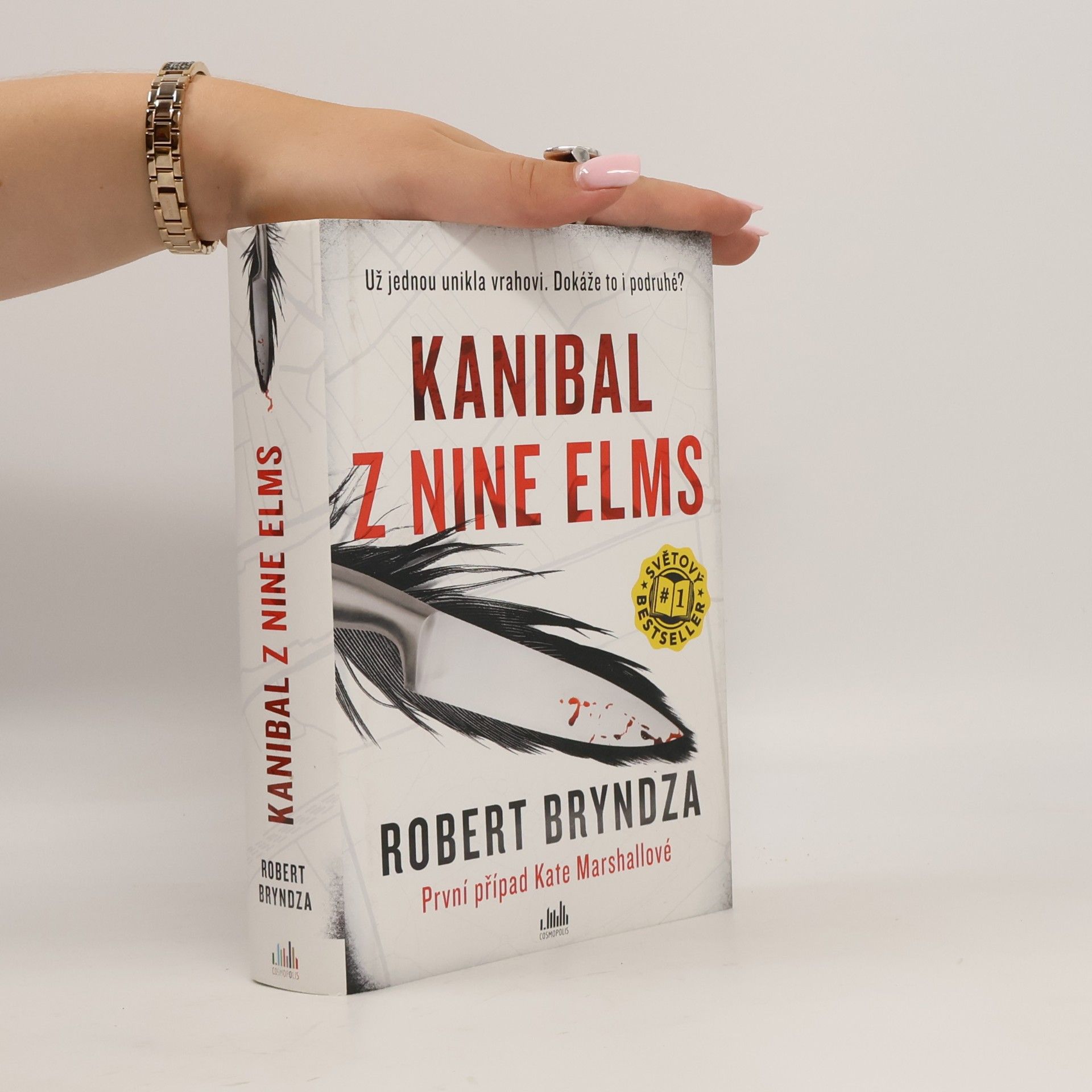 Robert Bryndza Kanibal z Nine Elms