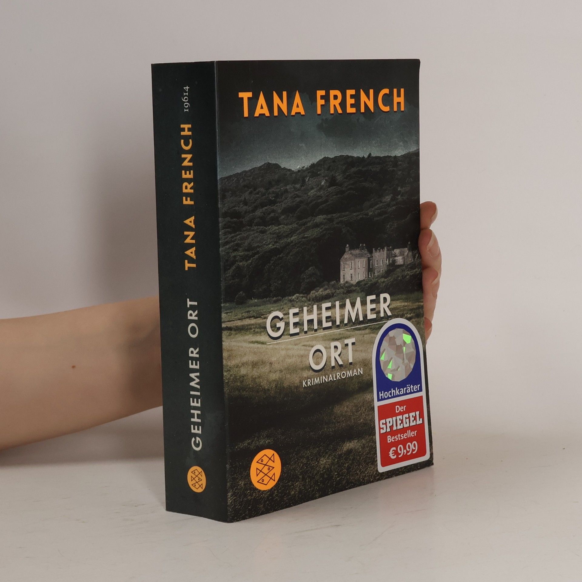 Tana French Geheimer Ort