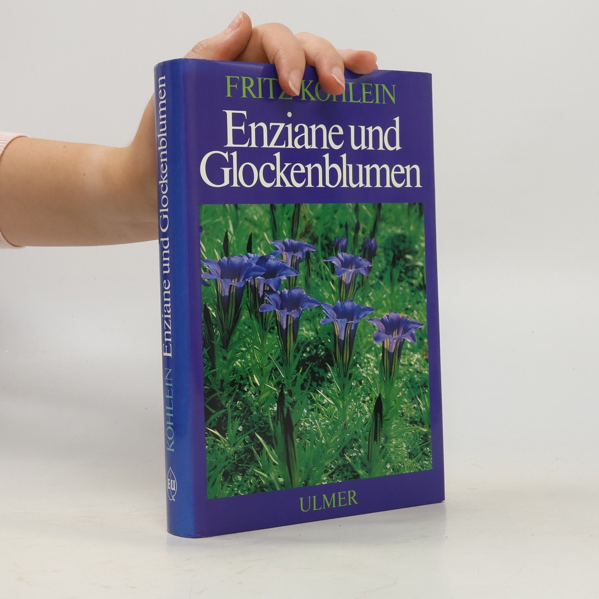 Enziane und Glockenblumen