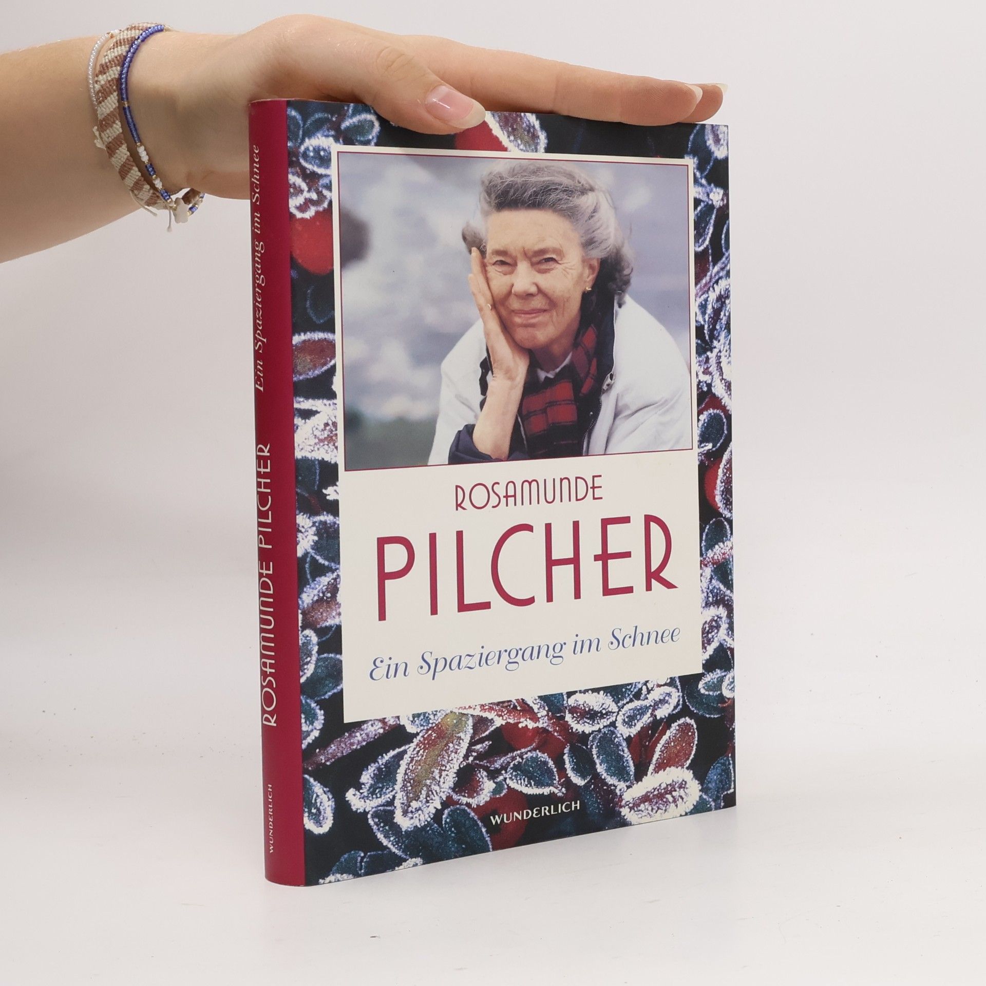 Rosamunde Pilcher Ein Spaziergang im Schnee