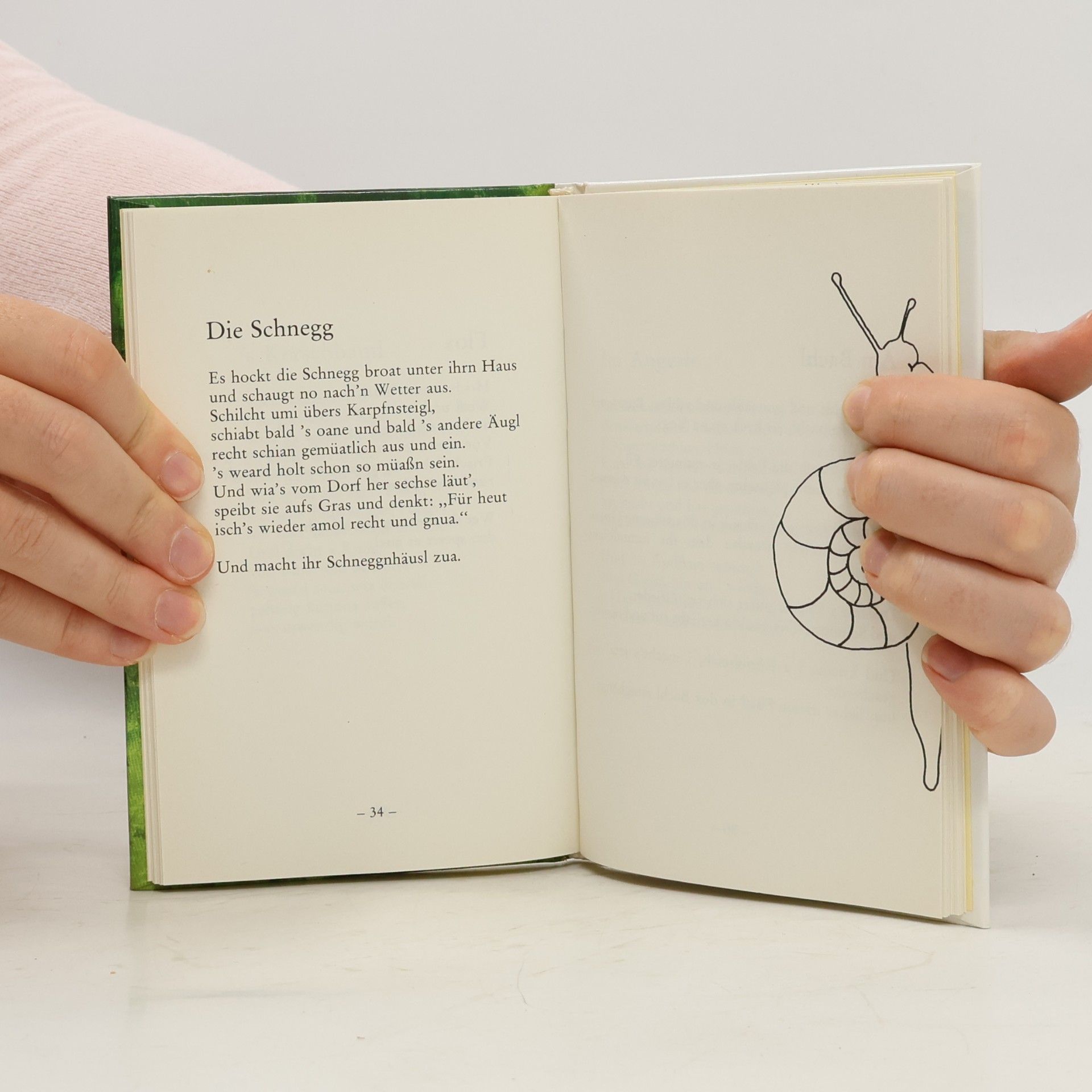 Anni Kraus Hinter'n Zaun