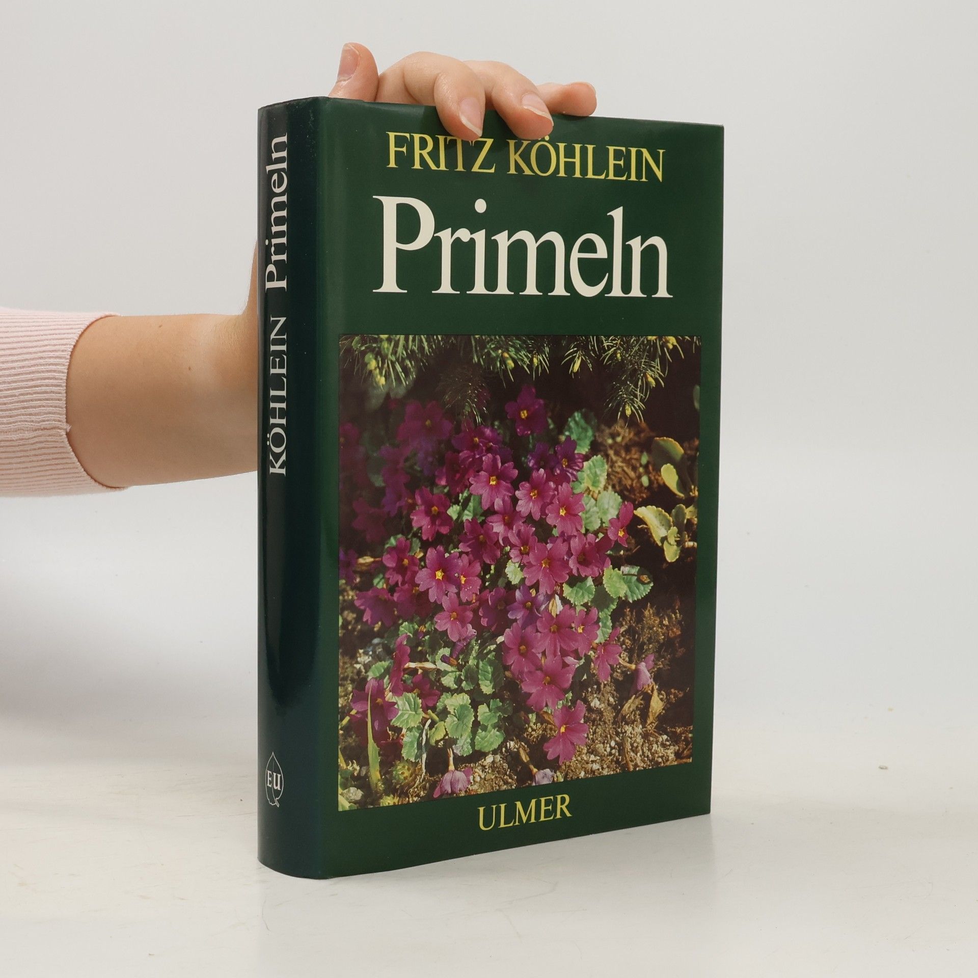Primeln und die verwandten Gattungen Mannsschild, Heilglöckchen, Götterblume, Troddelblume, Goldprimel