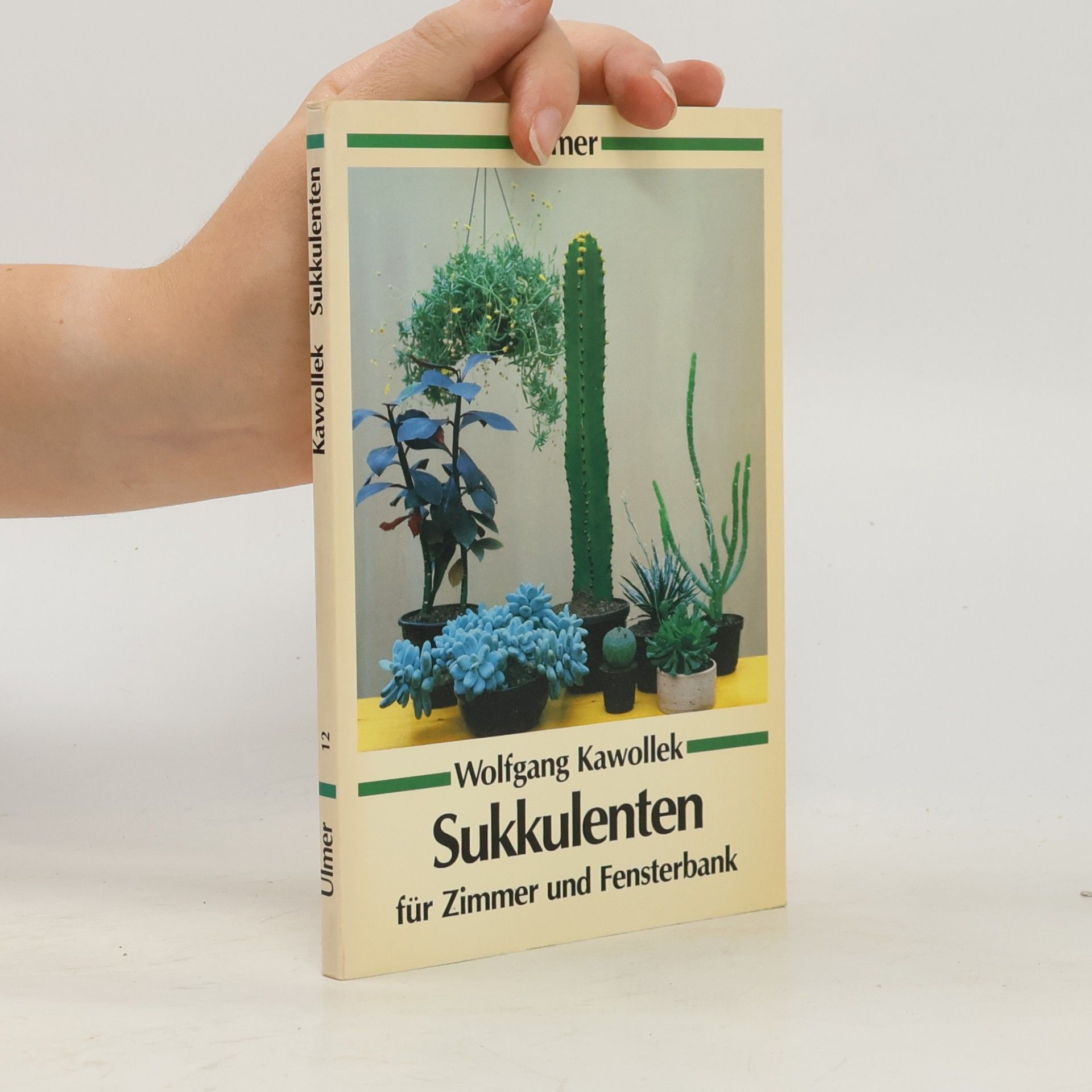 Ulmer Taschenbücher - 12: Sukkulenten für Zimmer und Fensterbank
