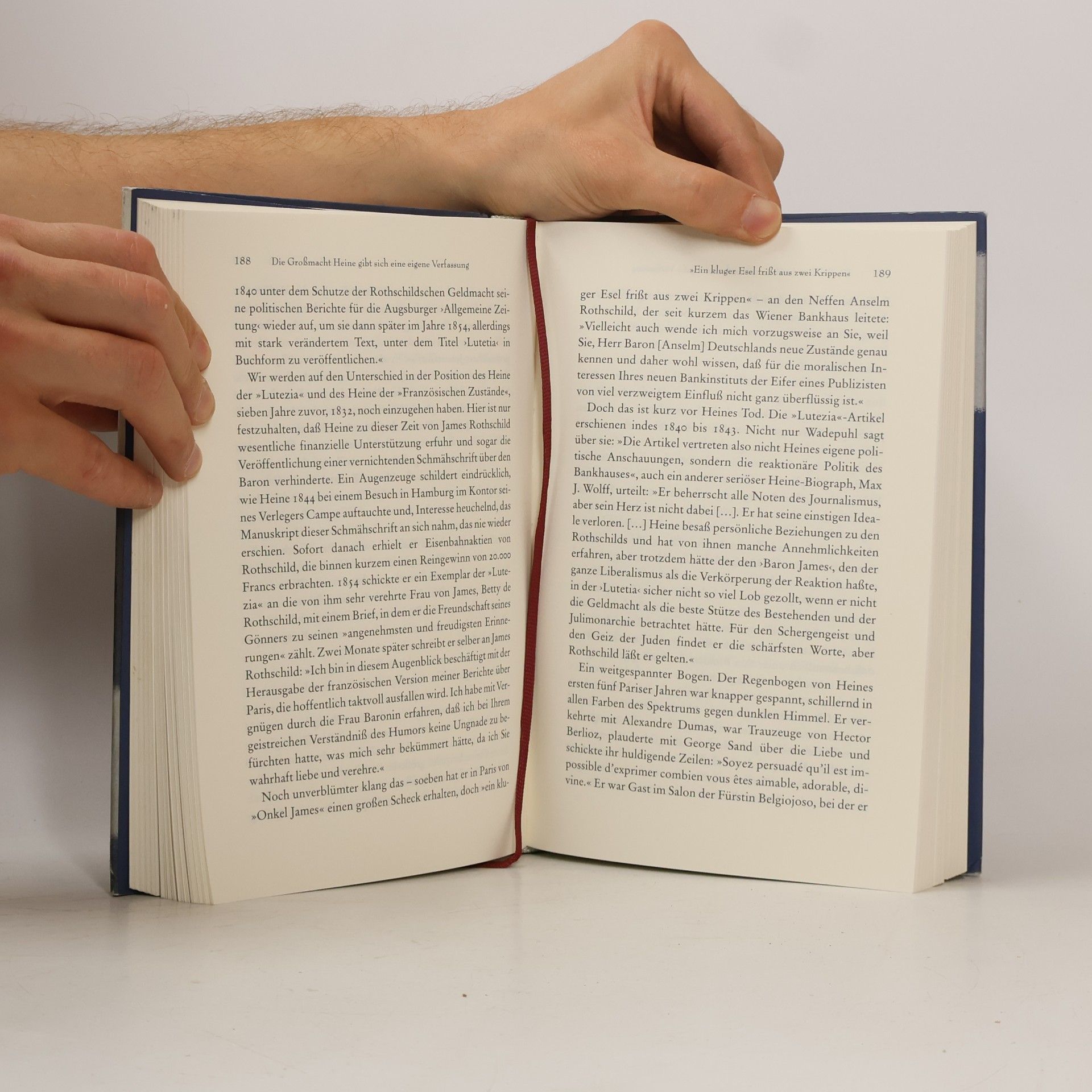Fritz J. Raddatz Taubenherz und Geierschnabel - Heinrich Heine