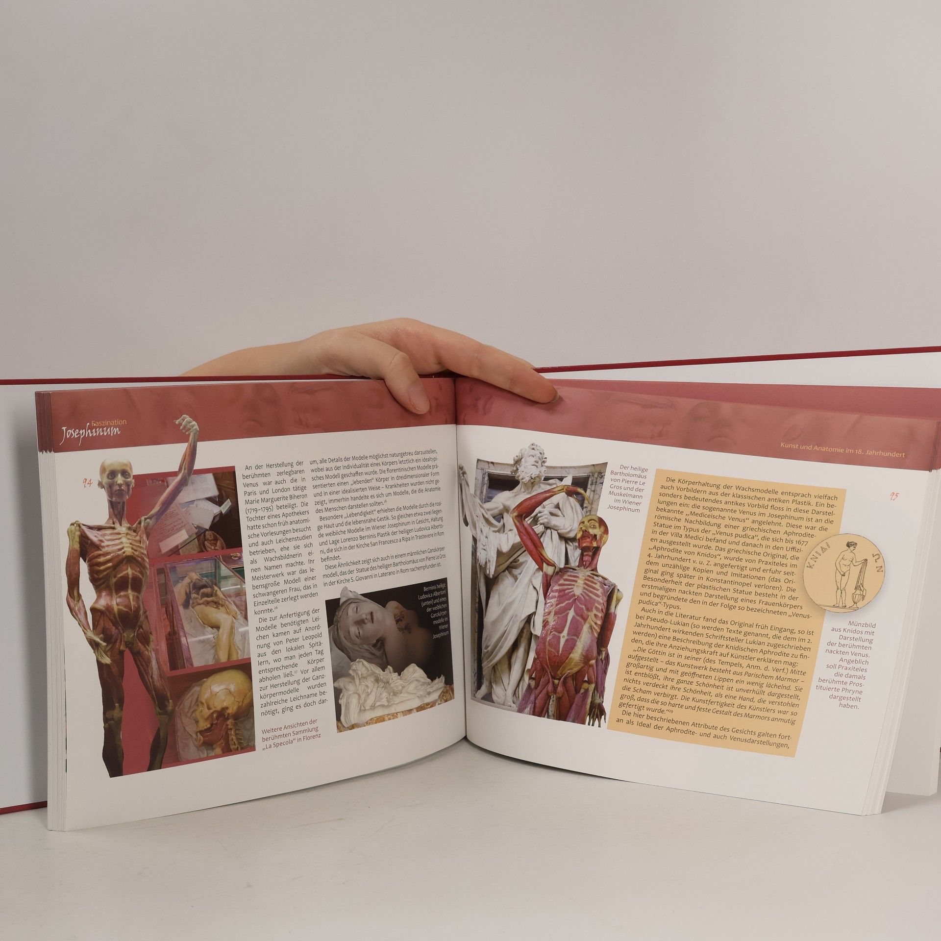 Sonia Horn Faszination Josephinum - English Summaries Included