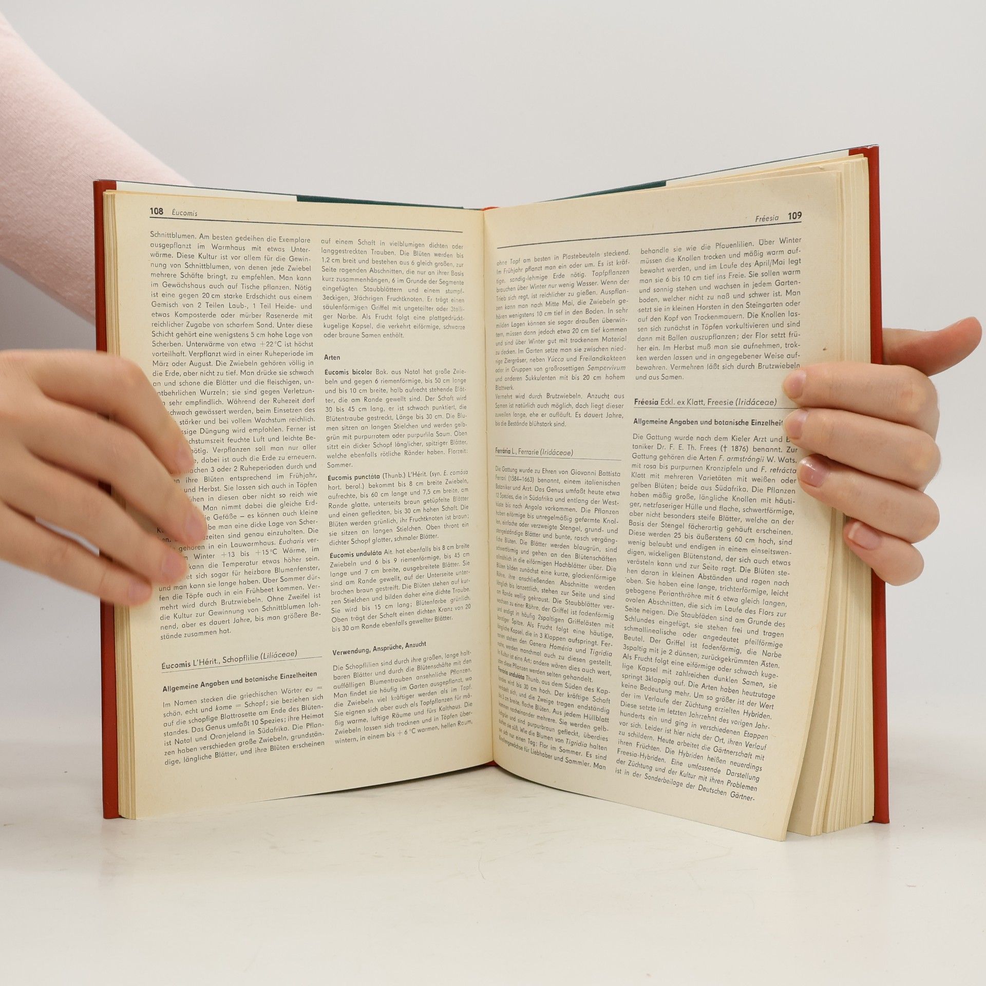 Christian Grunert Das Blumenzwiebelbuch