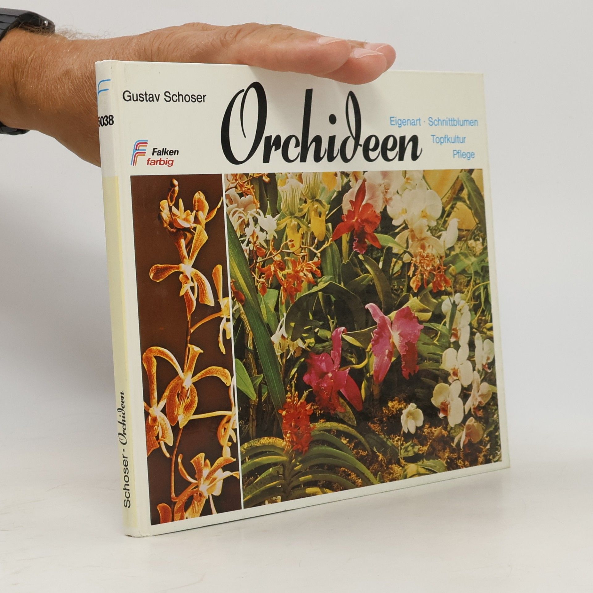 Orchideen