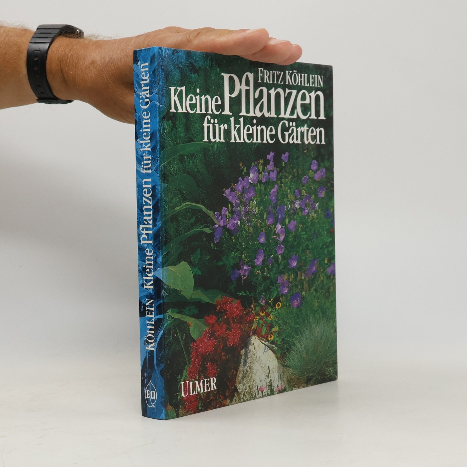 Kleine Pflanzen für kleine Gärten