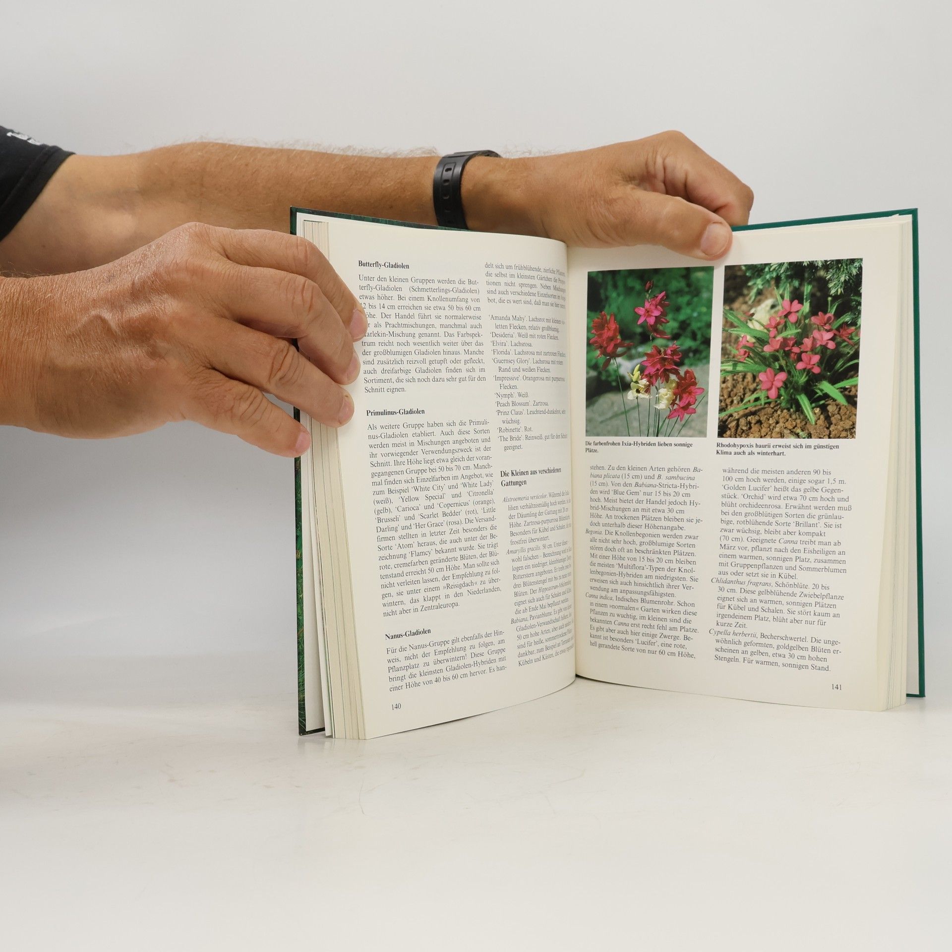 Fritz Köhlein Kleine Pflanzen für kleine Gärten