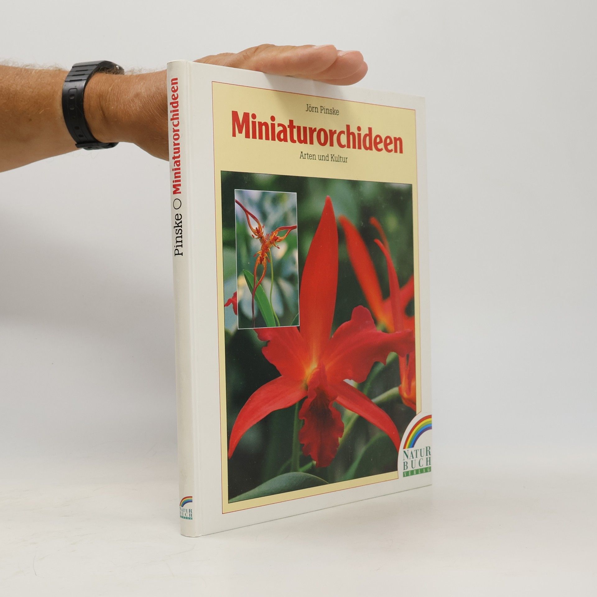 Miniaturorchideen