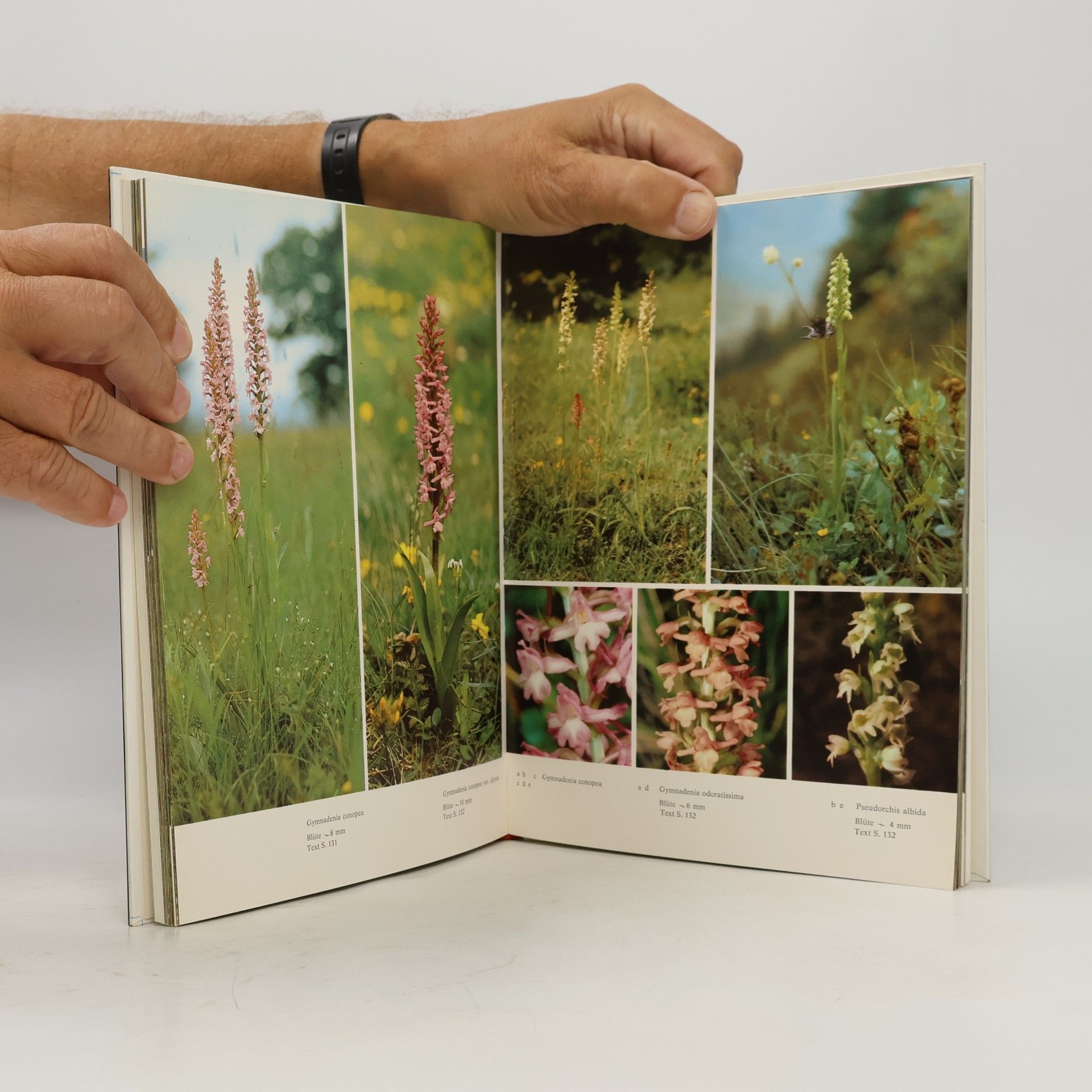 Othmar Danesch Tiroler Orchideen