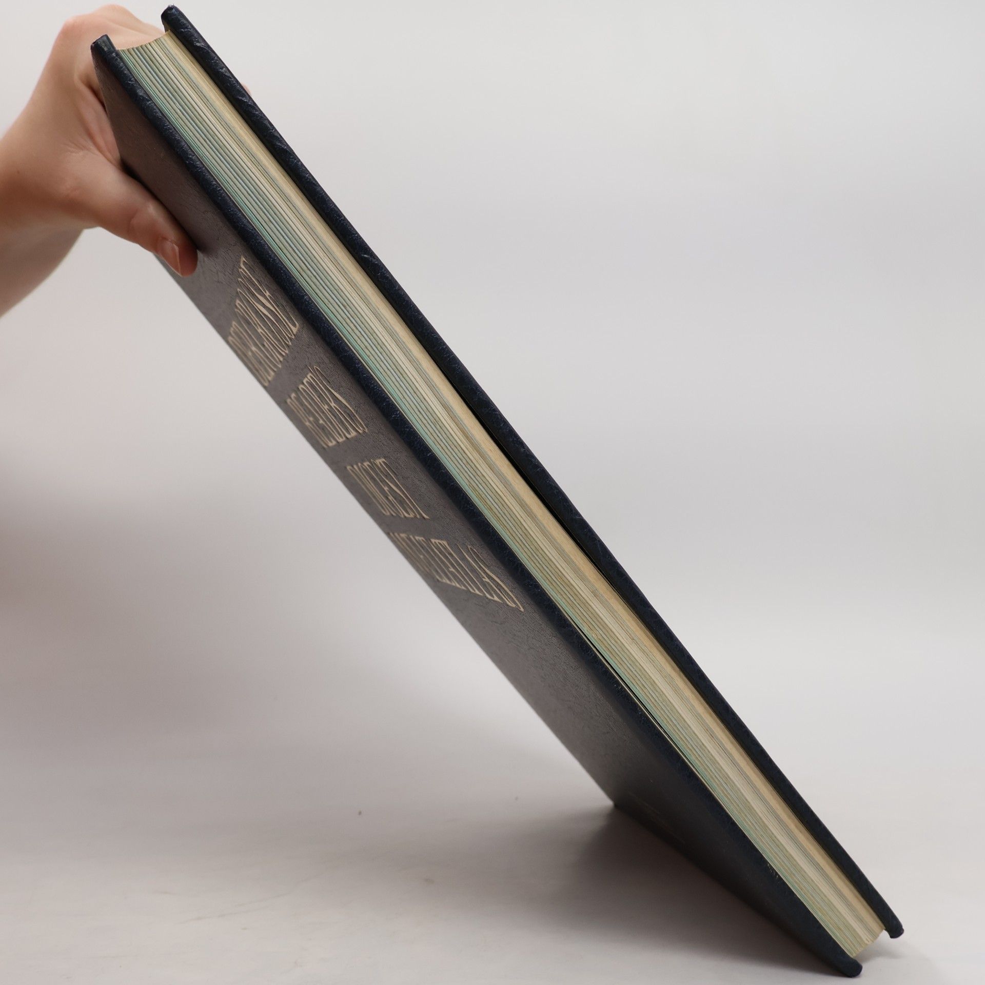 kolektiv Der Grosse Reader's Digest Weltatlas