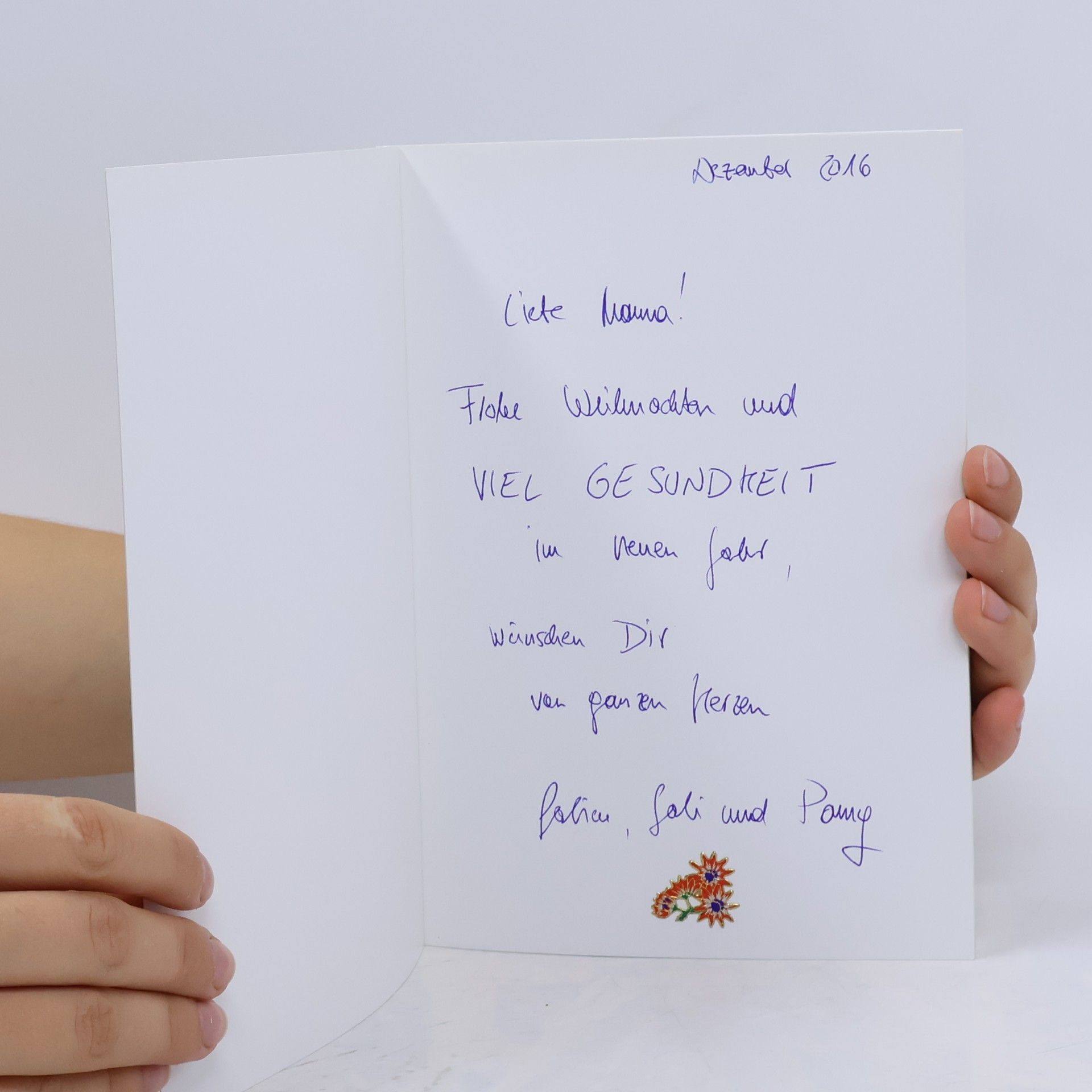 kolektiv Vier-Pfoten-Anekdoten 1