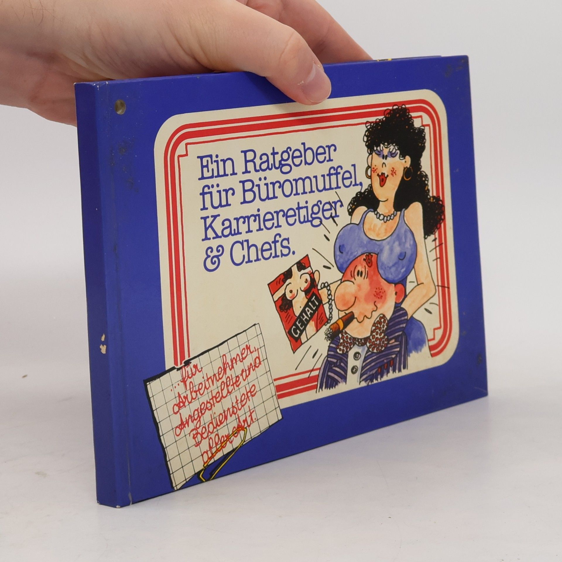 kolektiv Ein Ratgeber für Büromuffel, Karrieretiger & Chefs