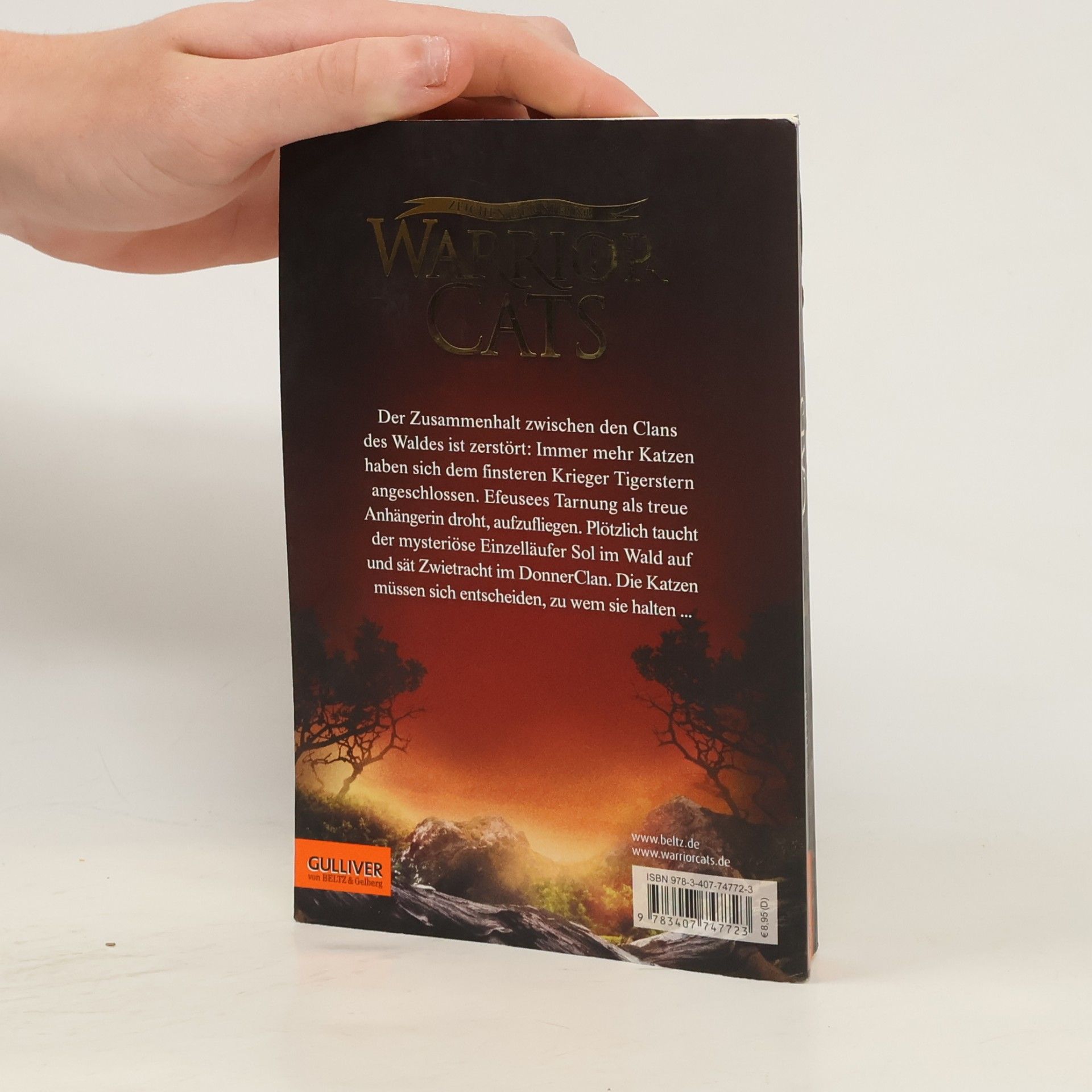Erin Hunter Der verschollene Krieger