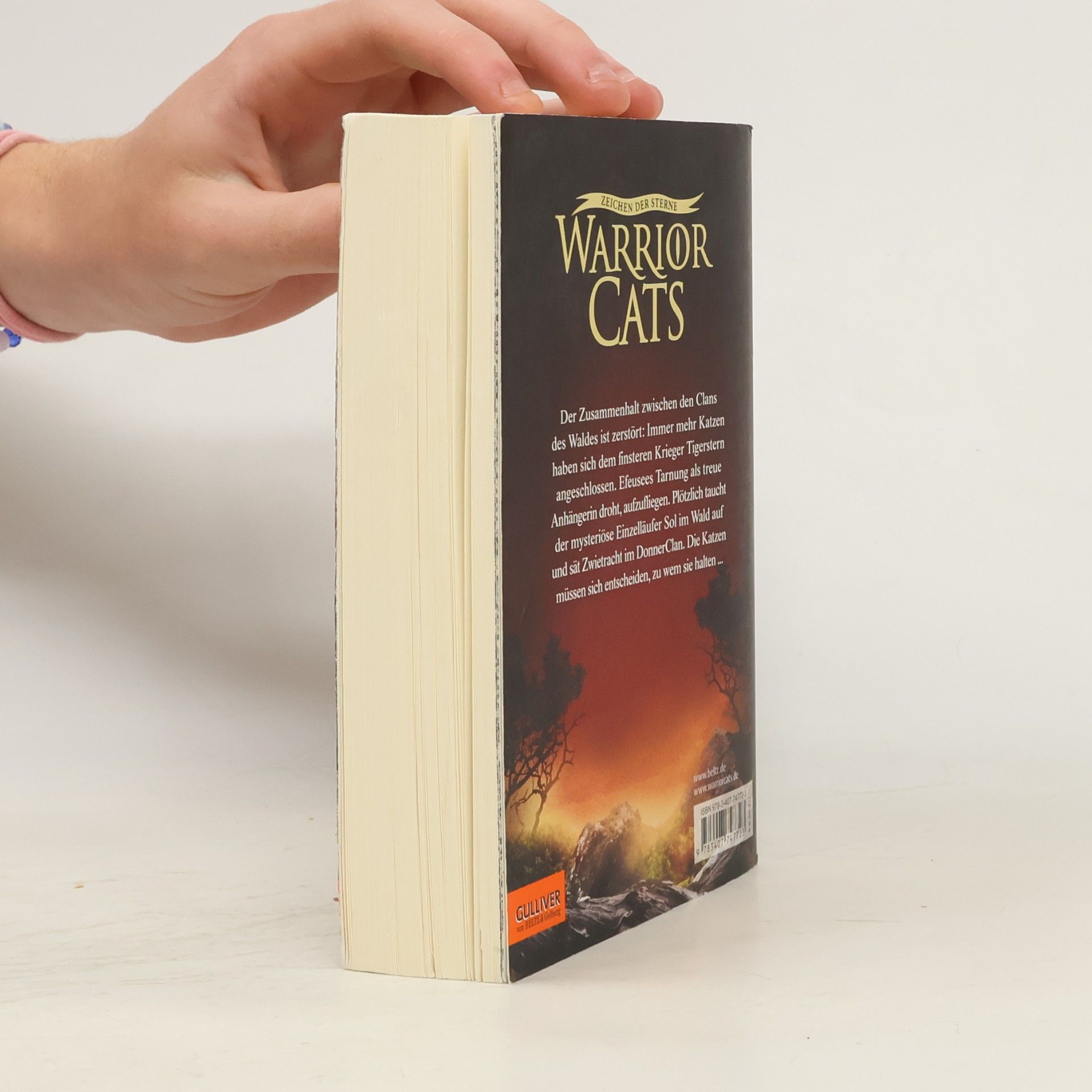 Erin Hunter Der verschollene Krieger