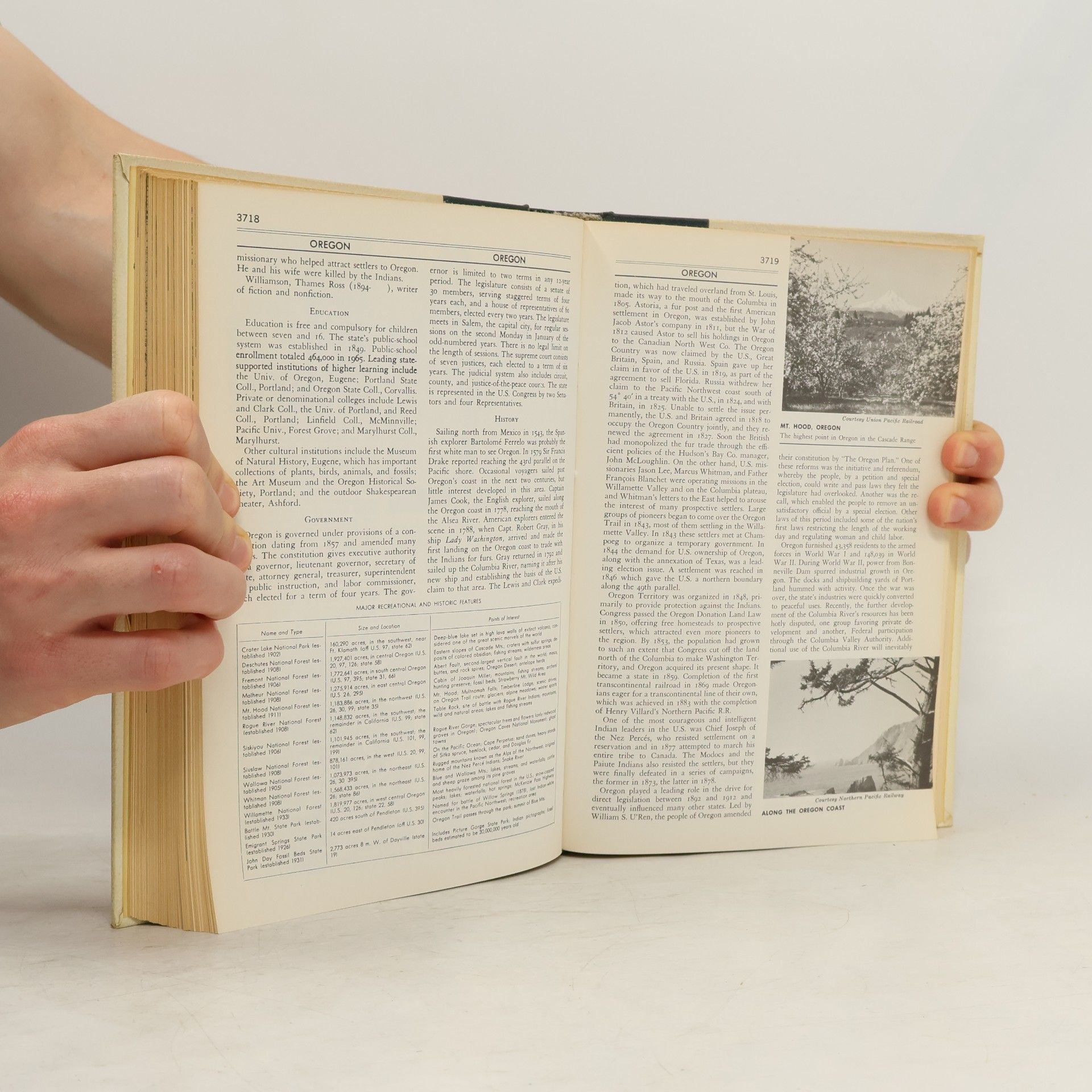 Various authors The New American Encyclopedia 10