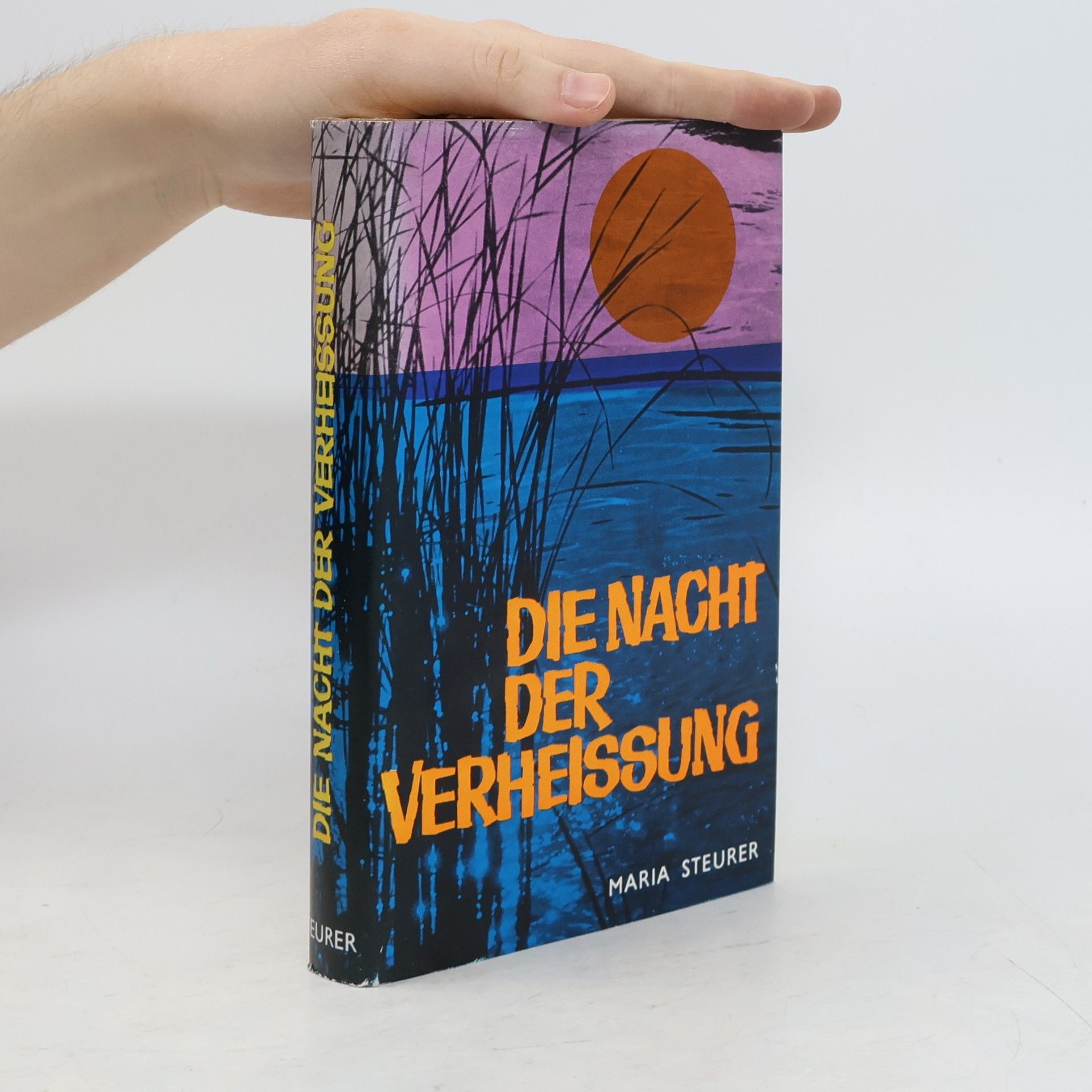 Maria Steurer Die Nacht der Verheissung