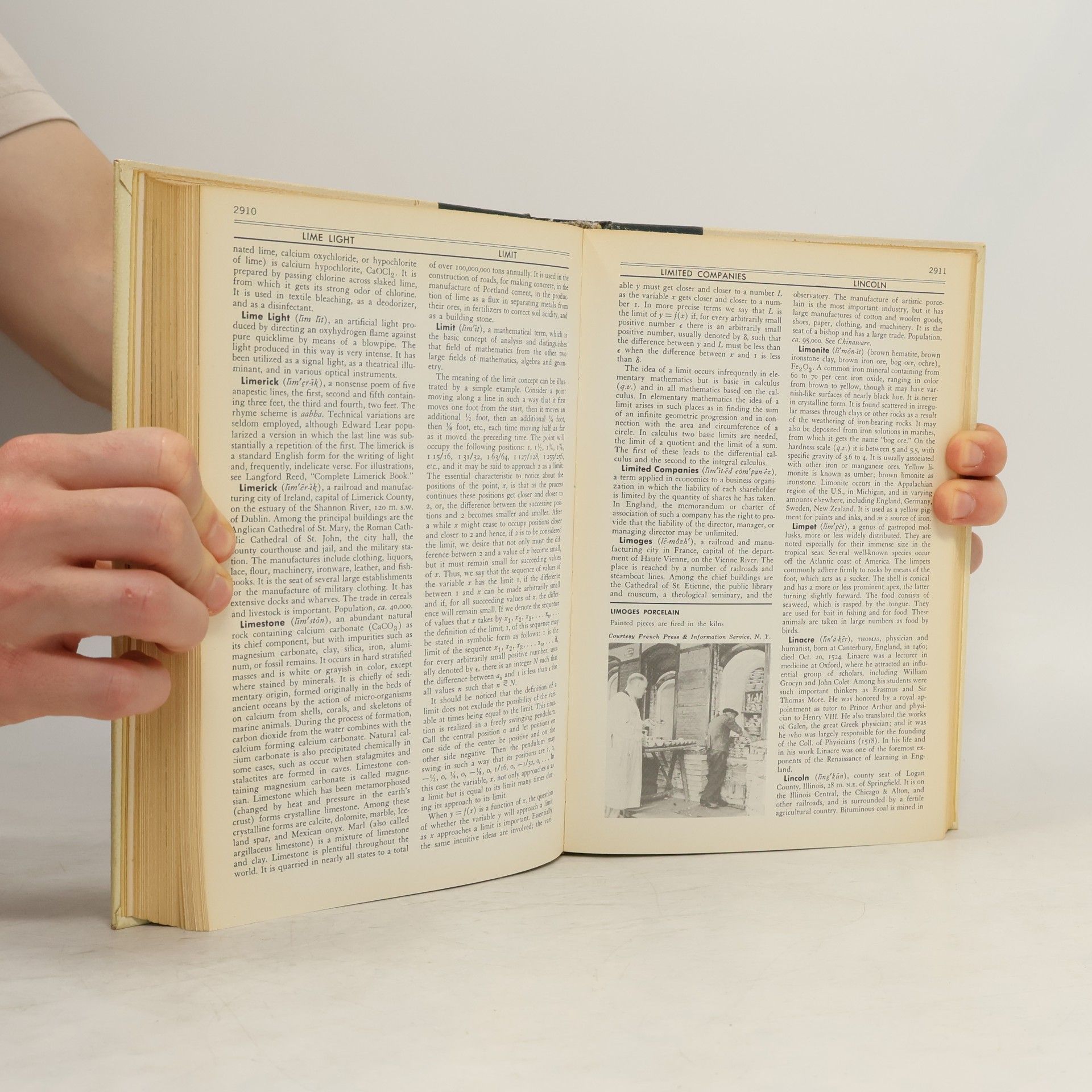 kolektiv New American Encyclopedia 8