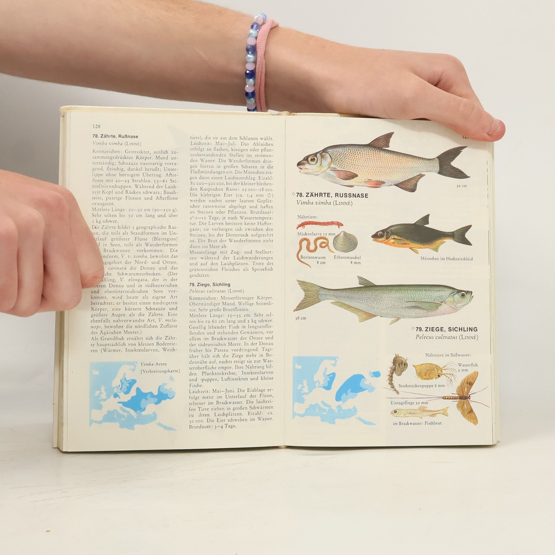 Bent J. Muus Süsswasserfische Europas
