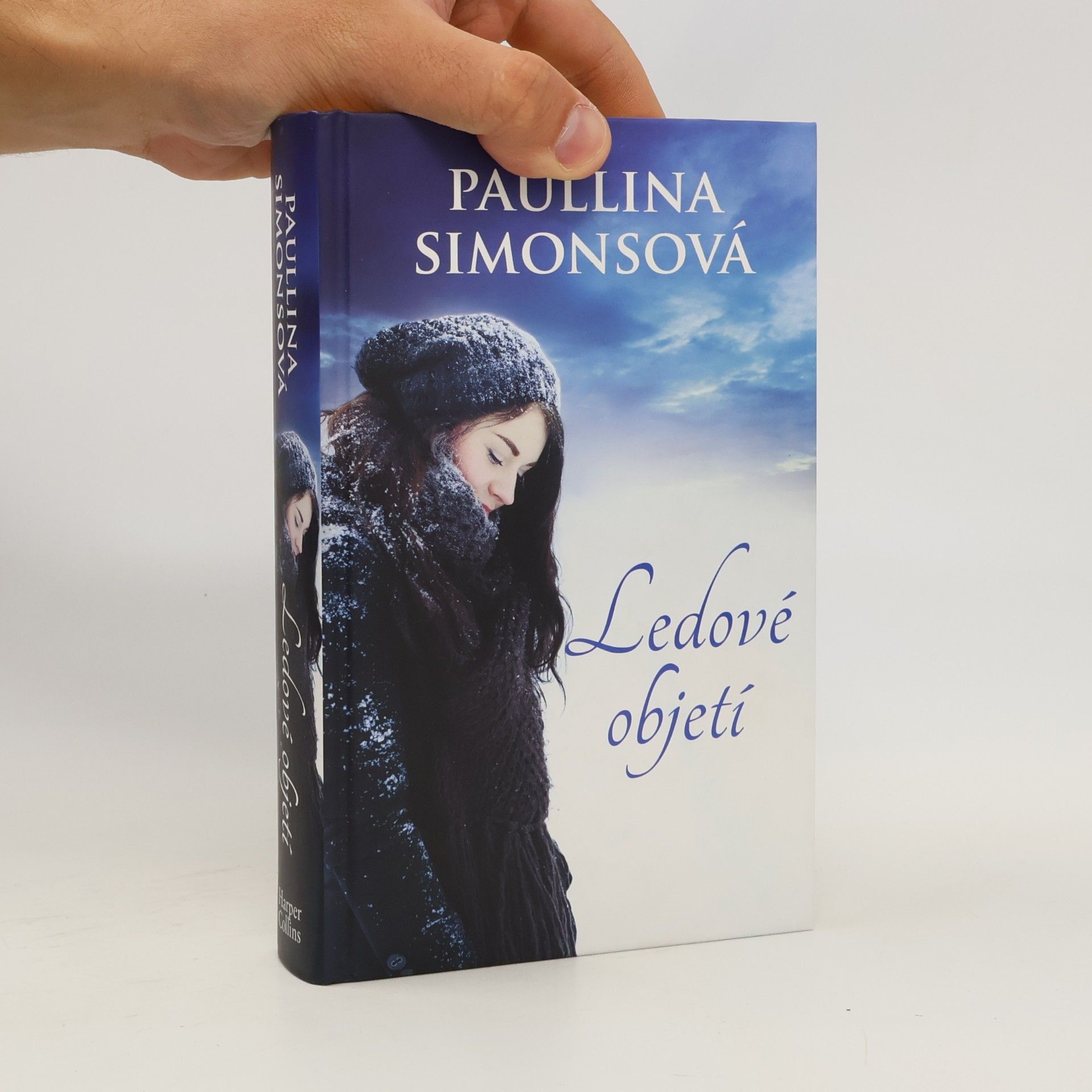 Paullina Simons Ledové objetí