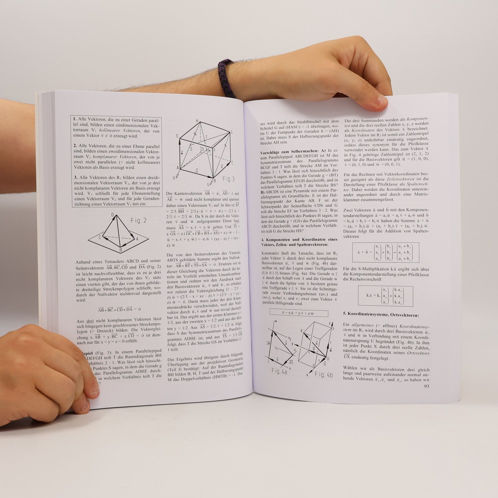 Dieter Grillmayer Im Reich der Geometrie, Teil II